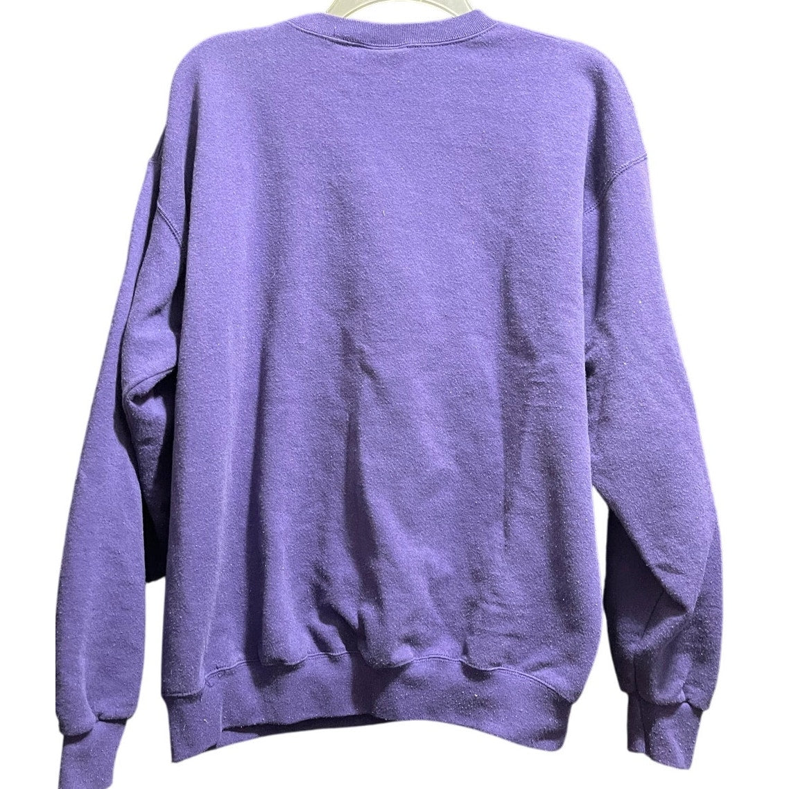 Vintage 90's Looney Tunes Tweety Bird Purple w/Flowers Sweatshirt - Large