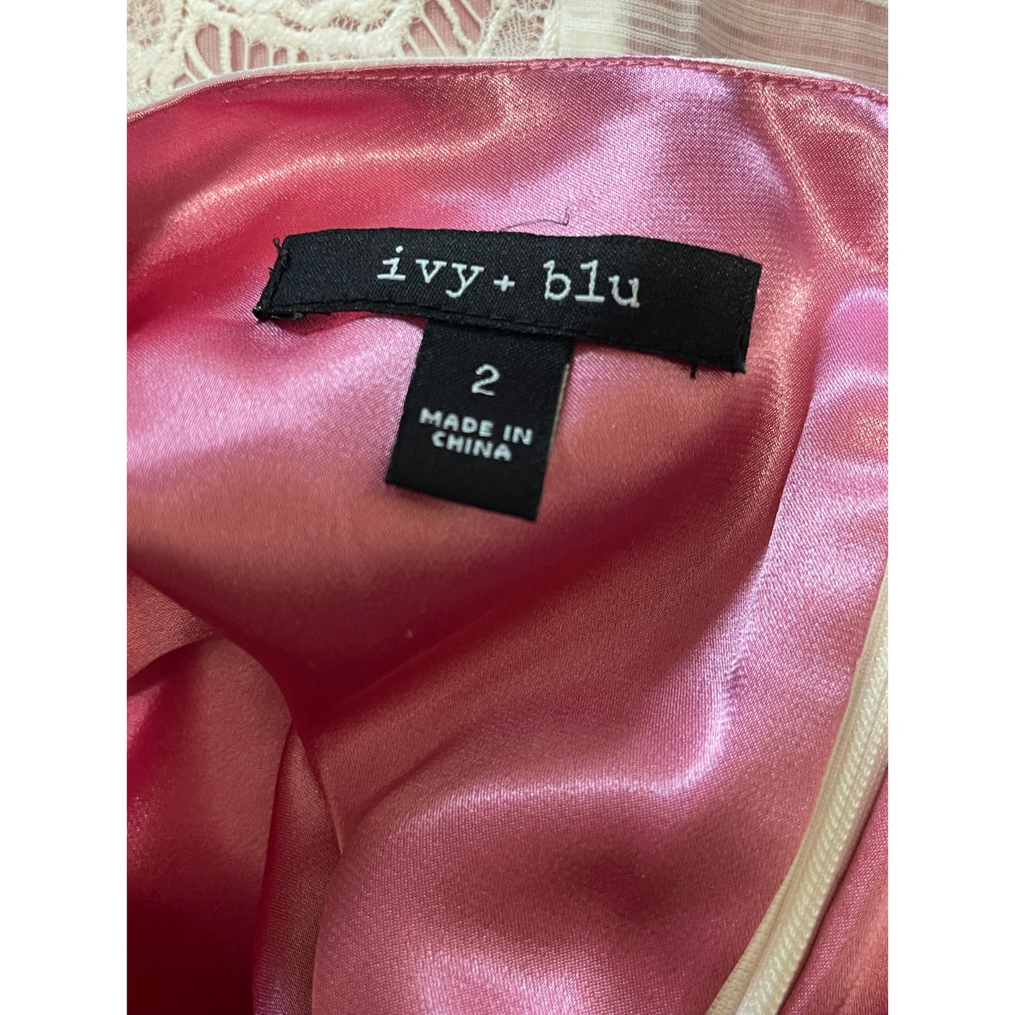 Ivy & Blu Pink & White Lace Sleeveless Dress - Size 2