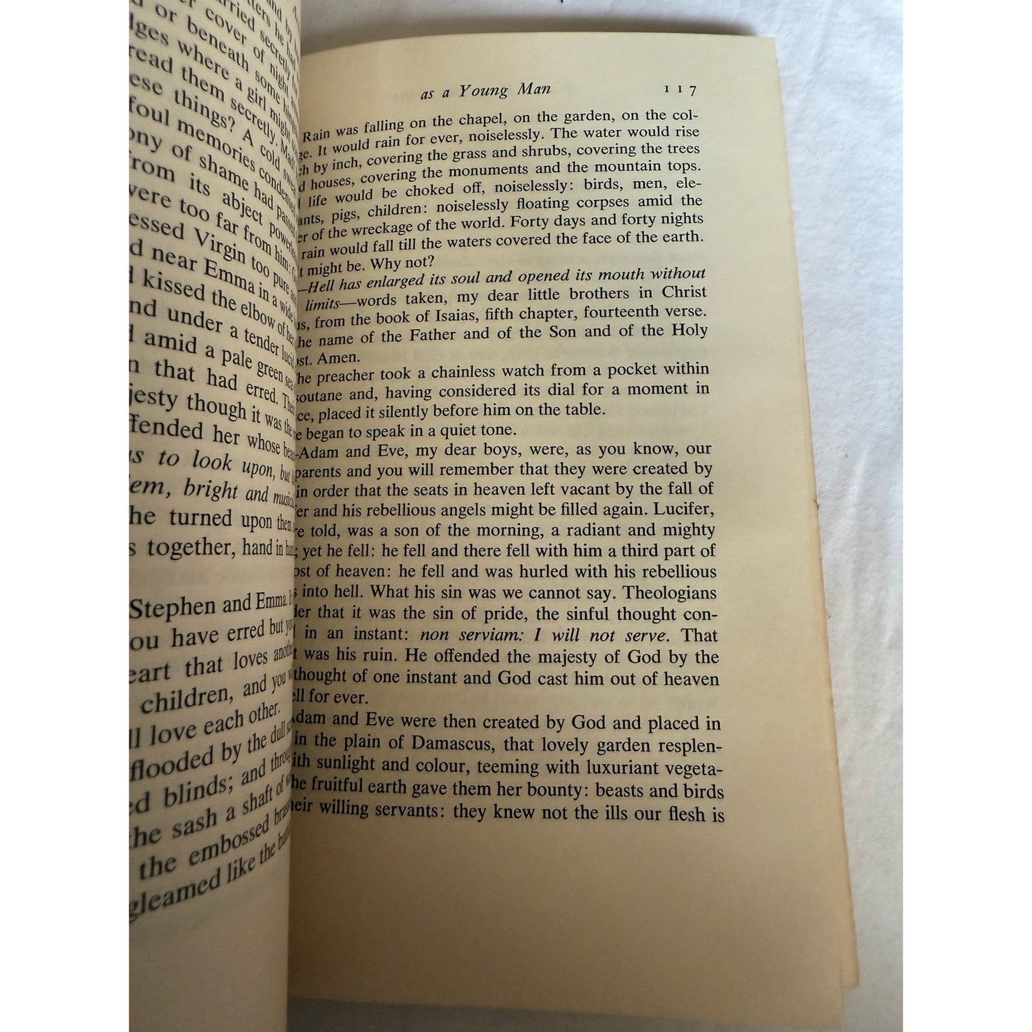 A Portrait of The Artist as a Young Man - James Joyce - 1964- Paperback