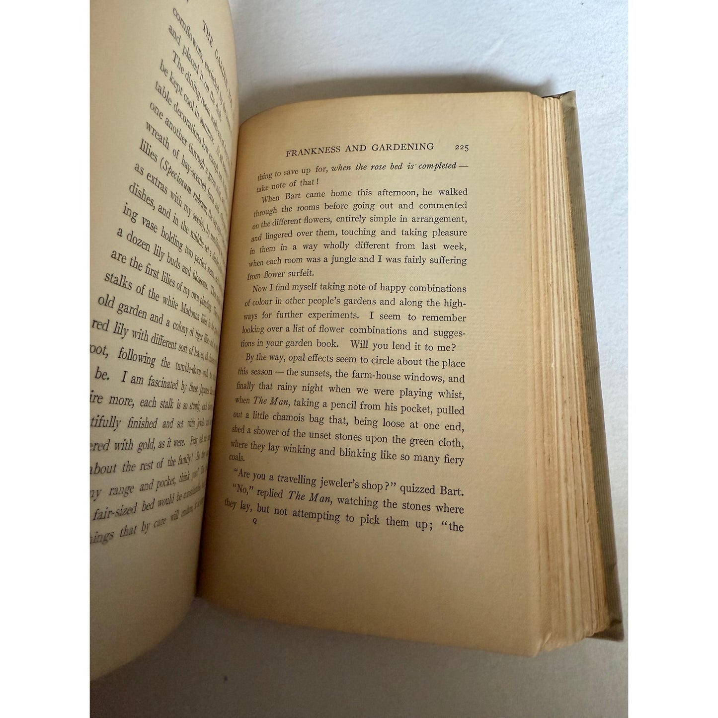 1906 The Garden You and I - Mabel Osgood Wright - Hardcover