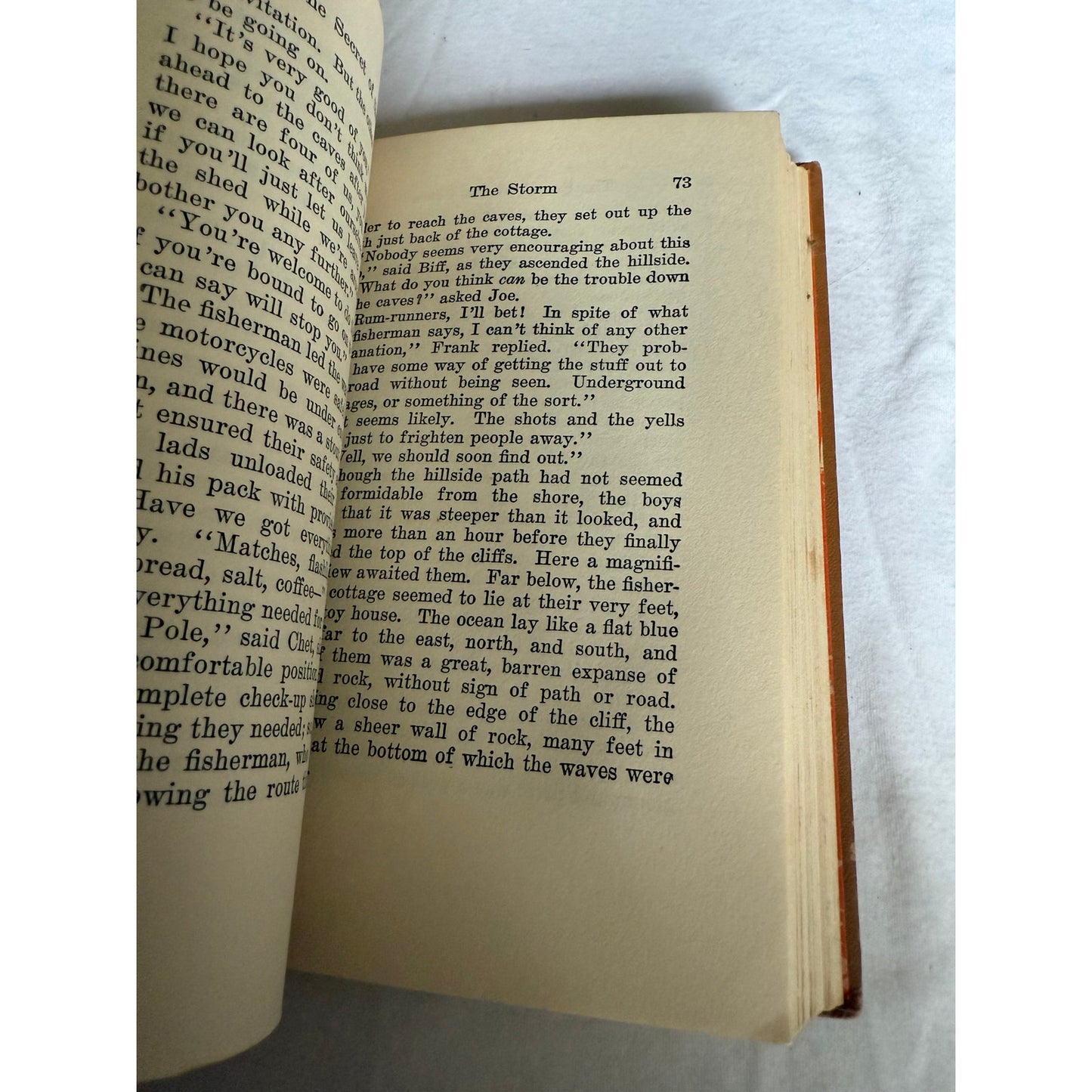 The Hardy Boys - The Secret of the Caves - Franklin W. Dixon - 1929 - Hardcover