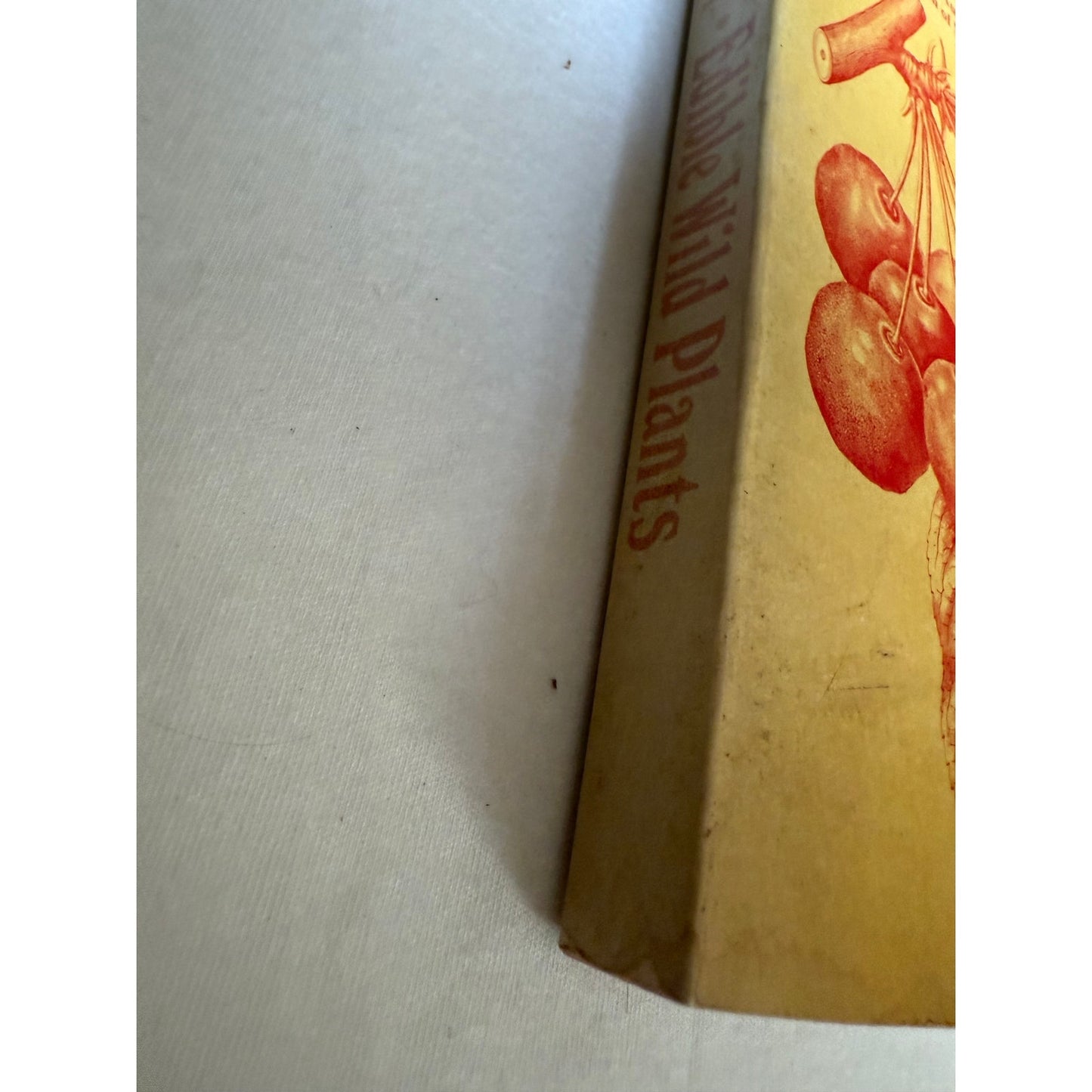 Edible Wild Plants - Oliver Perry Medsger - 7th Printing - 1978 - Paperback