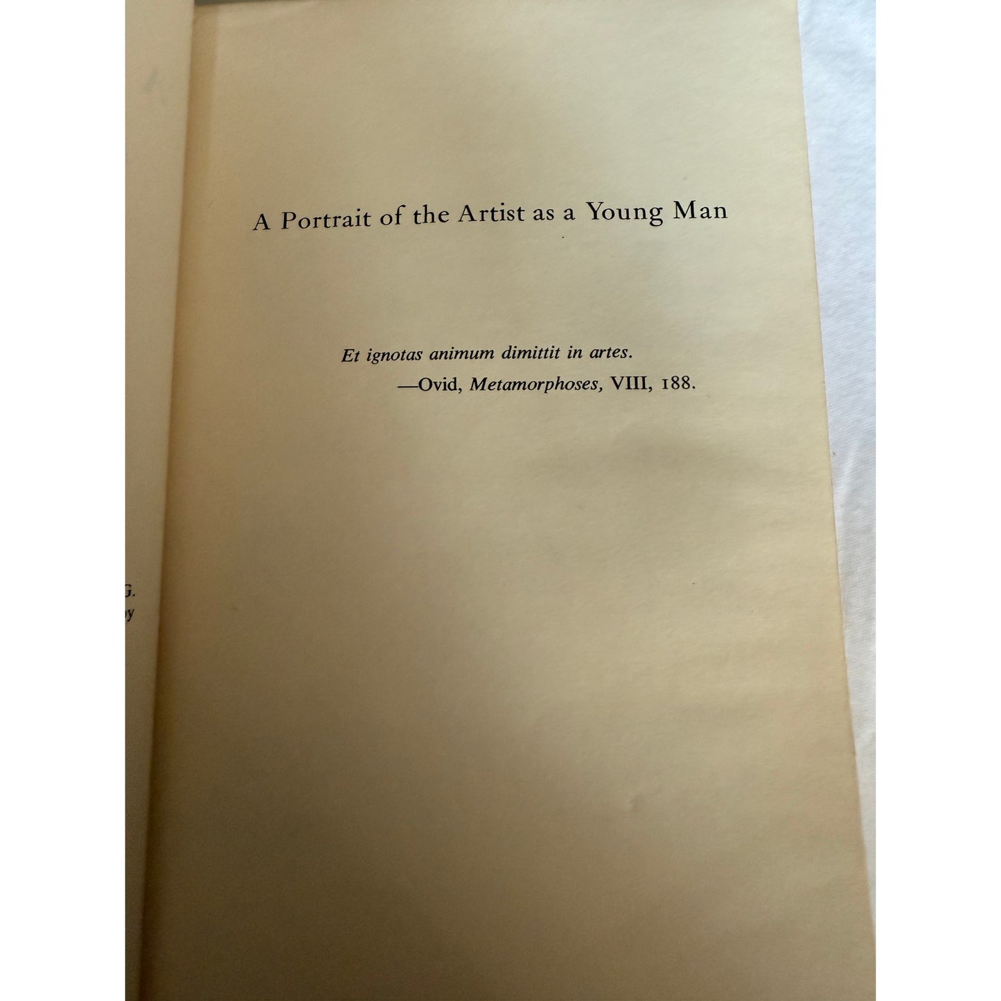 A Portrait of The Artist as a Young Man - James Joyce - 1964- Paperback