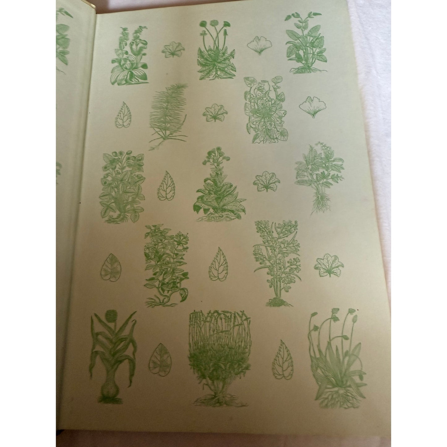 The Complete Medicinal Herbal - Penelope Ody 1st American Edition 1993 Hardcover