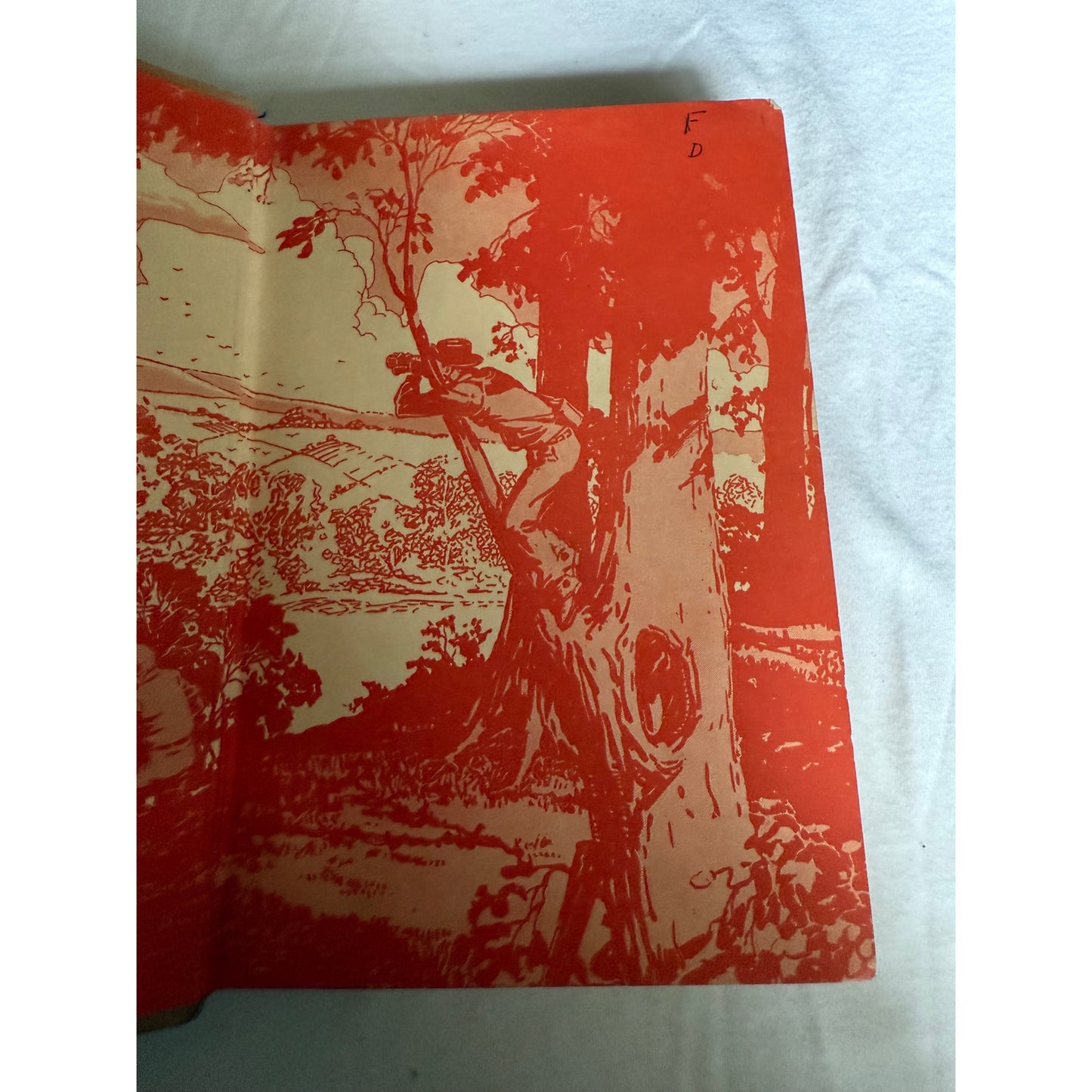 The Hardy Boys - A Figure in Hiding - Franklin W. Dixon - 1937 - Hardcover