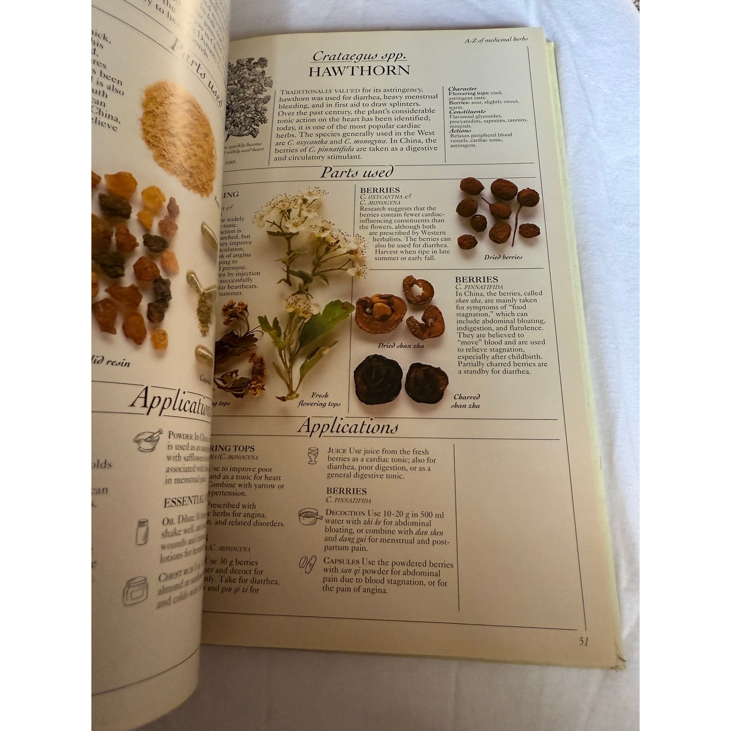 The Complete Medicinal Herbal - Penelope Ody 1st American Edition 1993 Hardcover