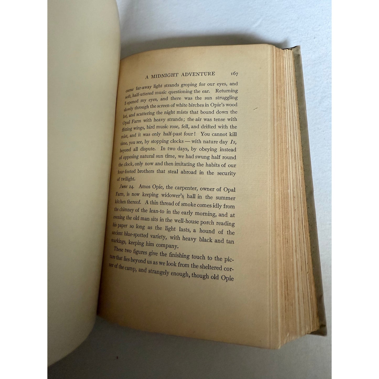 1906 The Garden You and I - Mabel Osgood Wright - Hardcover