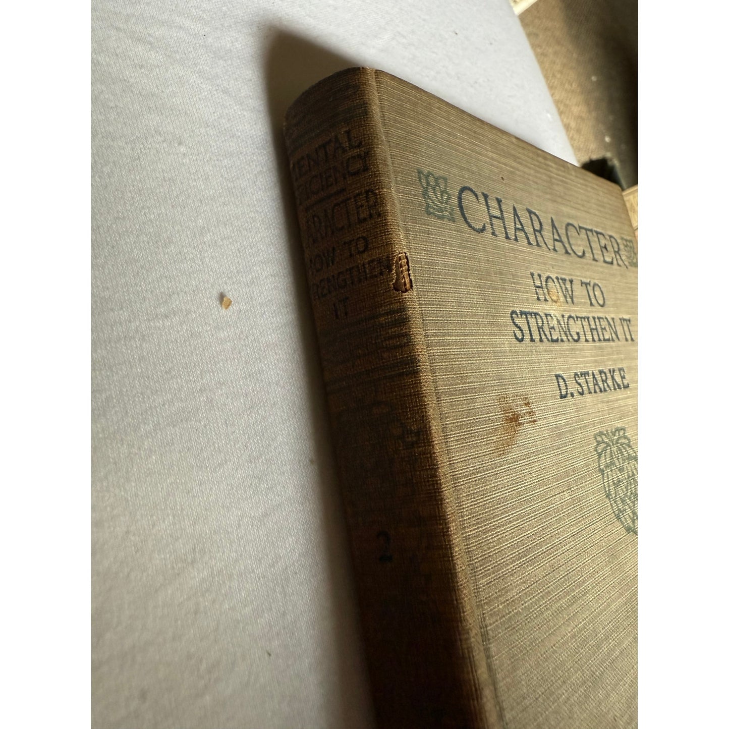 1916 Mental Efficiency Series Character & Perseverance Lot of 2 Hardcover