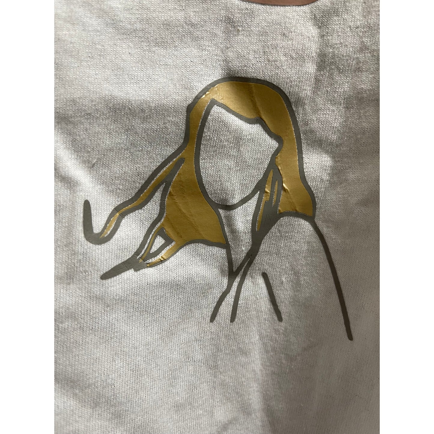 Taylor Swift Album Cover T-Shirt Size XL - Eras - Fearless - Red - Speak Now