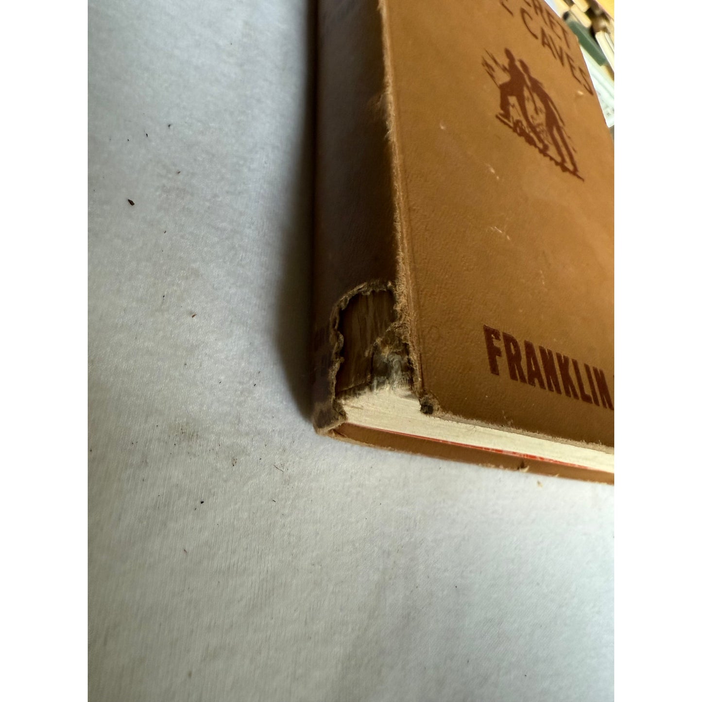 The Hardy Boys - The Secret of the Caves - Franklin W. Dixon - 1929 - Hardcover