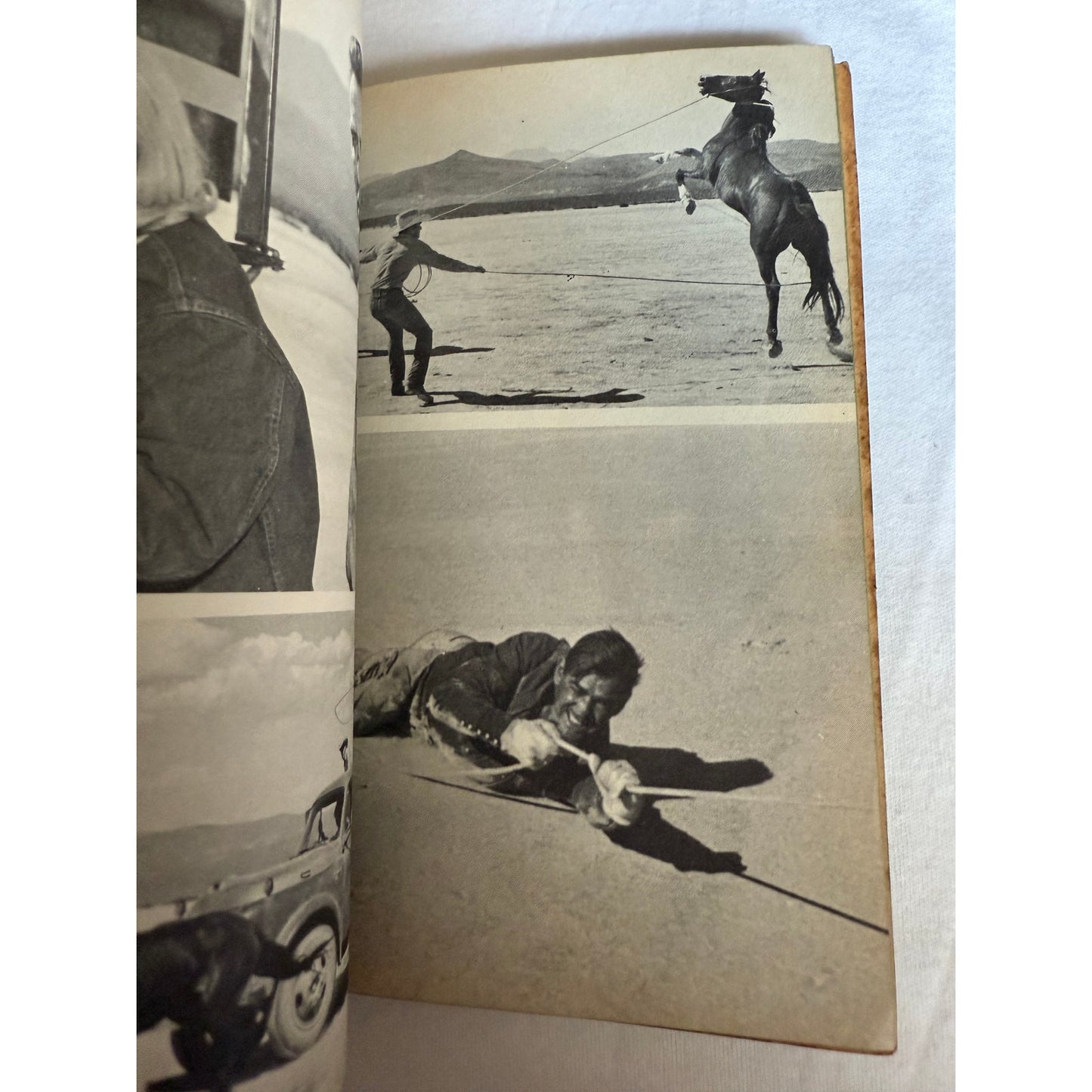 The Misfits Movie w/ Movie Stills - Arthur Miller - 1st Dell Printing - 1961