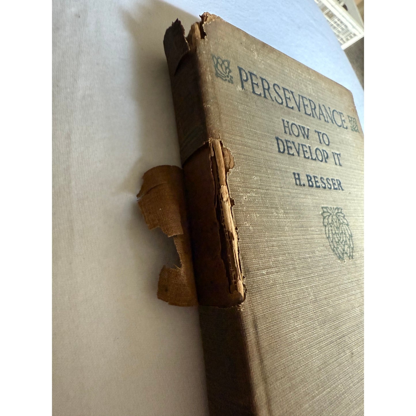 1916 Mental Efficiency Series Character & Perseverance Lot of 2 Hardcover
