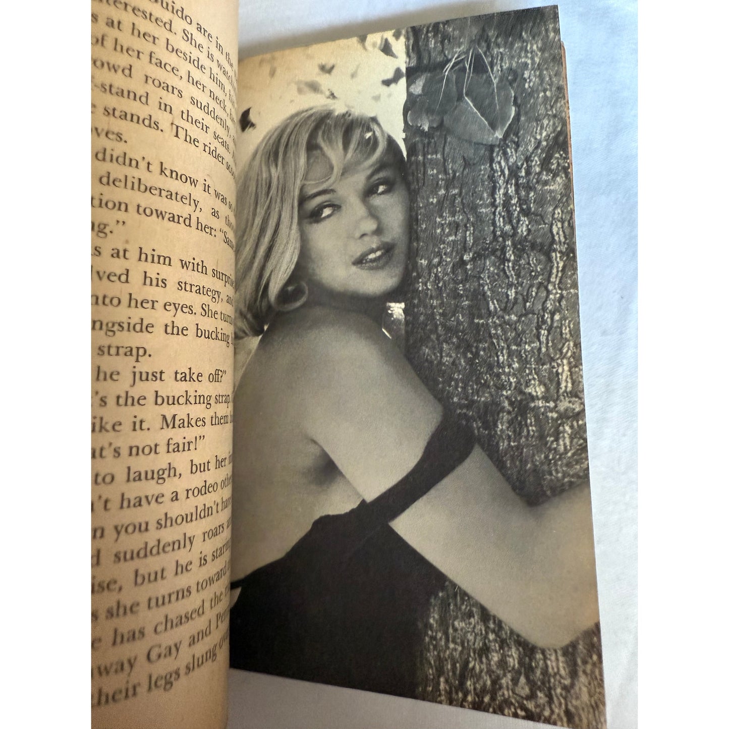 The Misfits Movie w/ Movie Stills - Arthur Miller - 1st Dell Printing - 1961