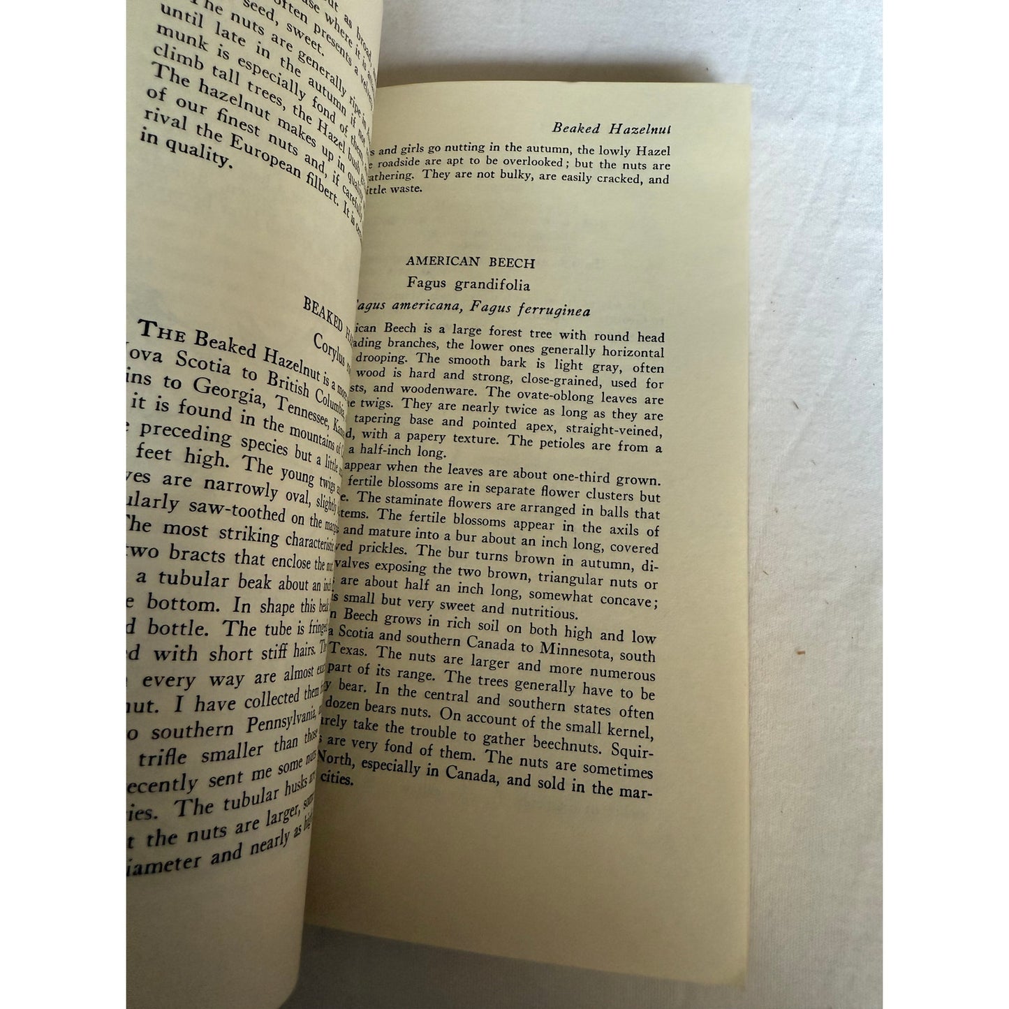 Edible Wild Plants - Oliver Perry Medsger - 7th Printing - 1978 - Paperback