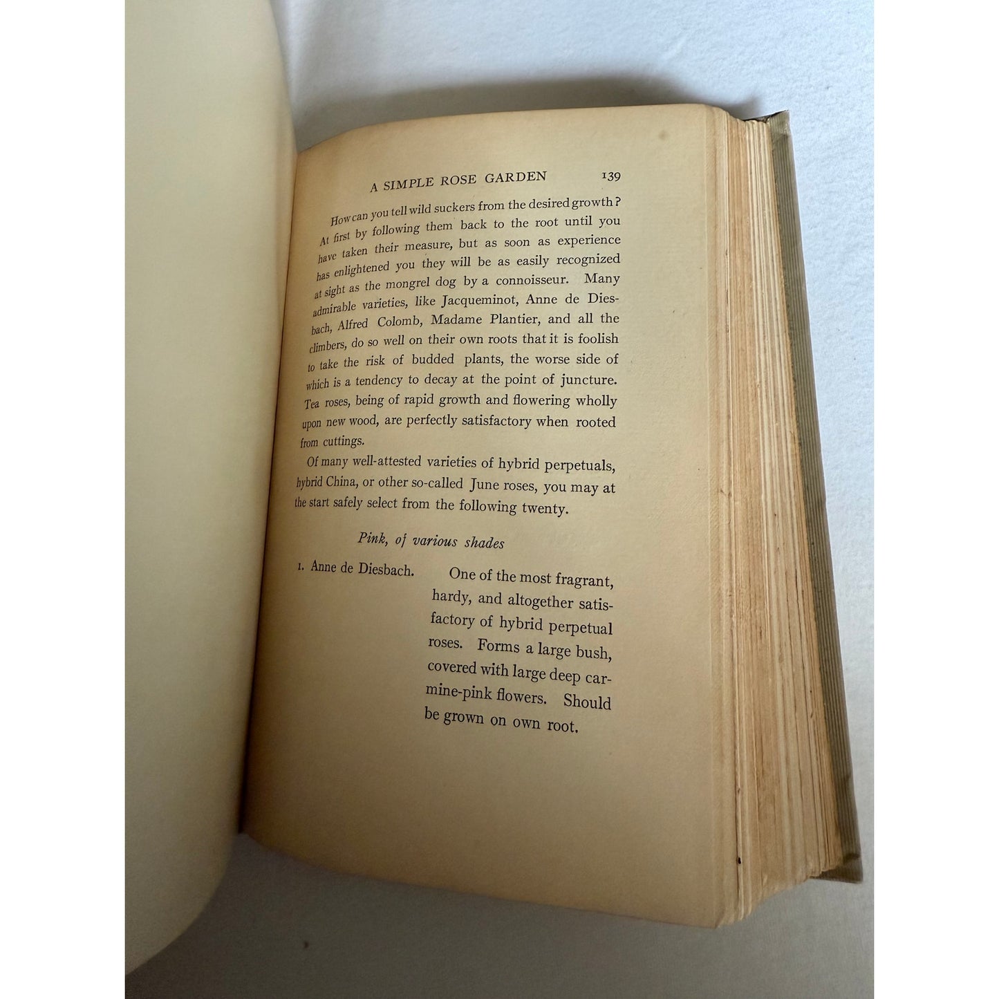 1906 The Garden You and I - Mabel Osgood Wright - Hardcover