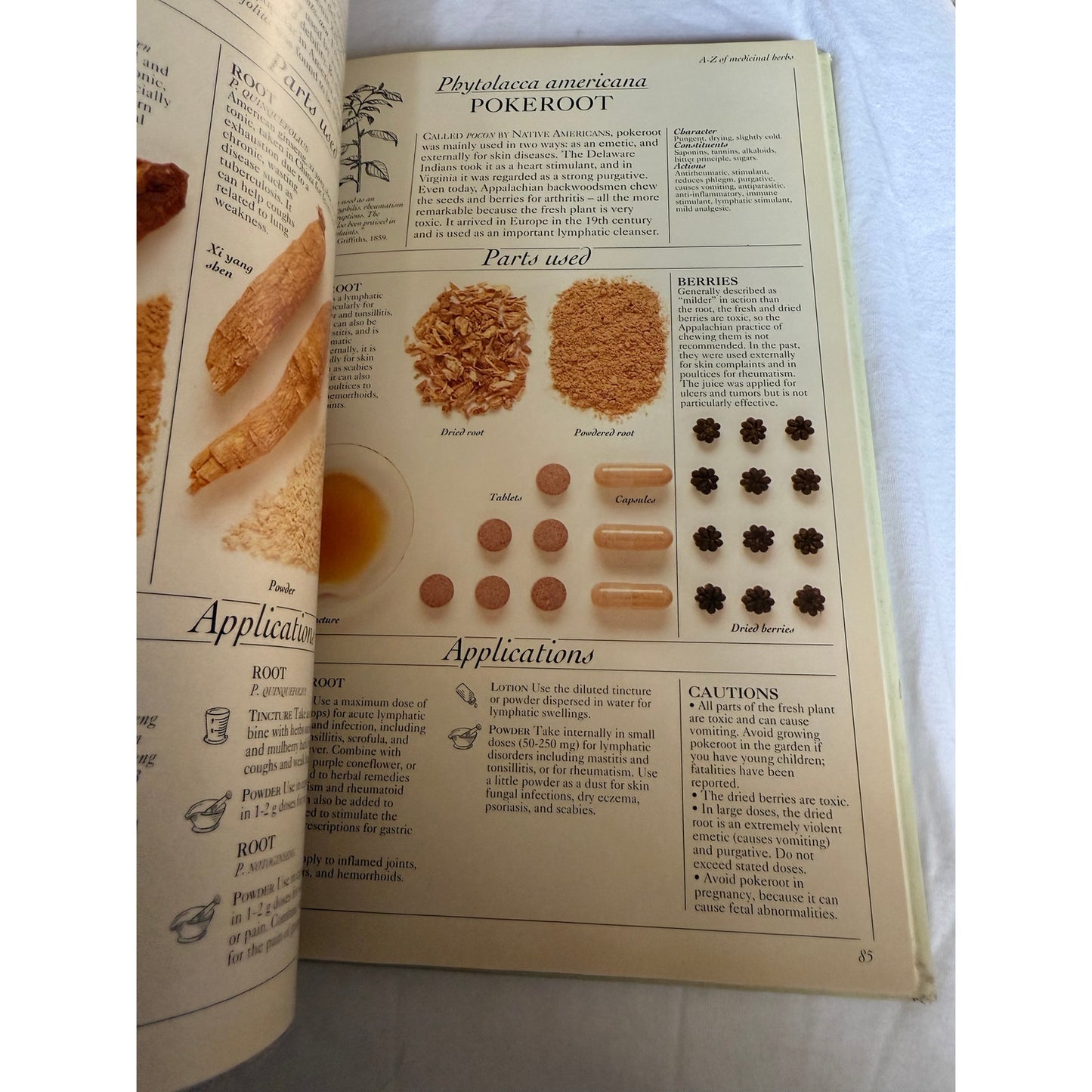 The Complete Medicinal Herbal - Penelope Ody 1st American Edition 1993 Hardcover
