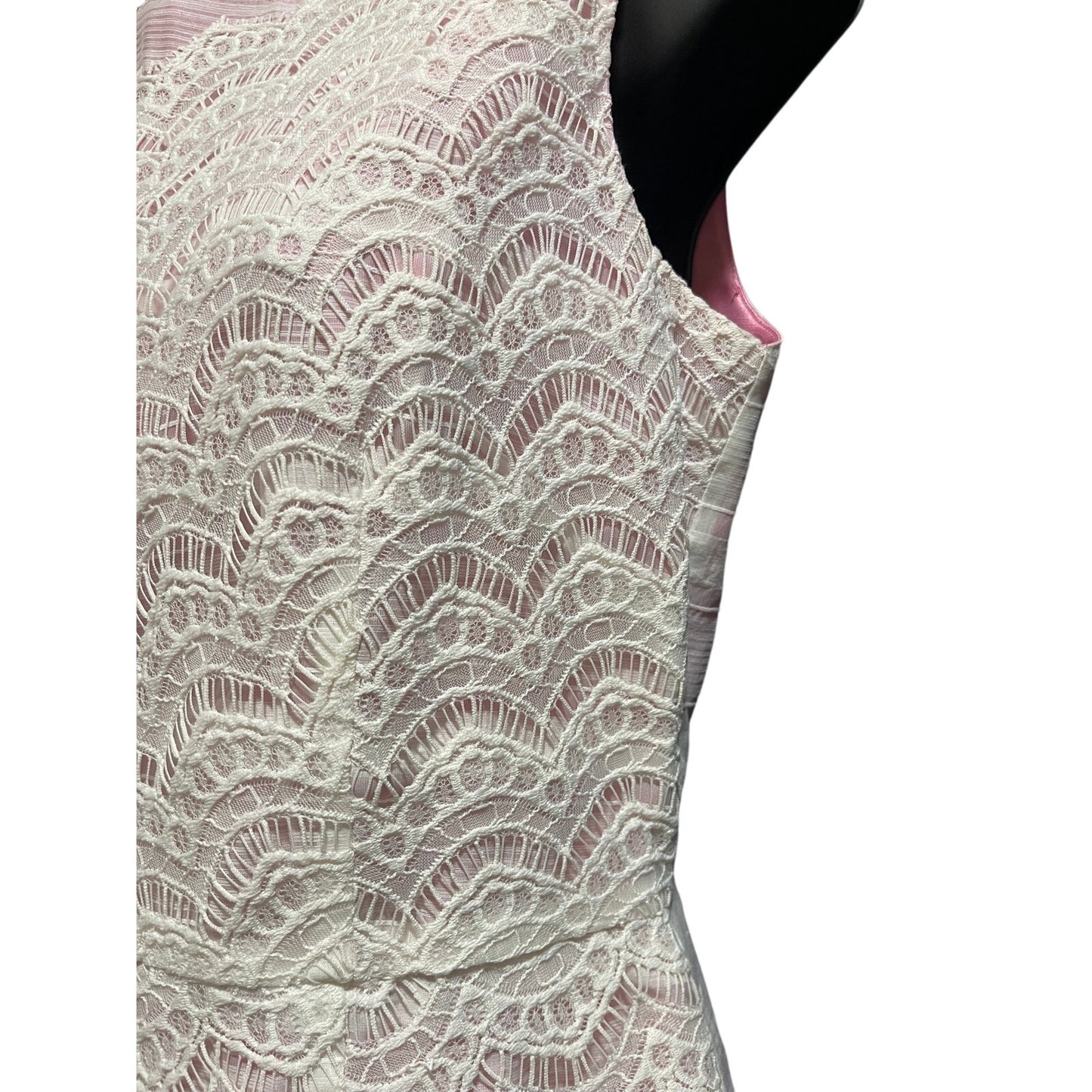 Ivy & Blu Pink & White Lace Sleeveless Dress - Size 2