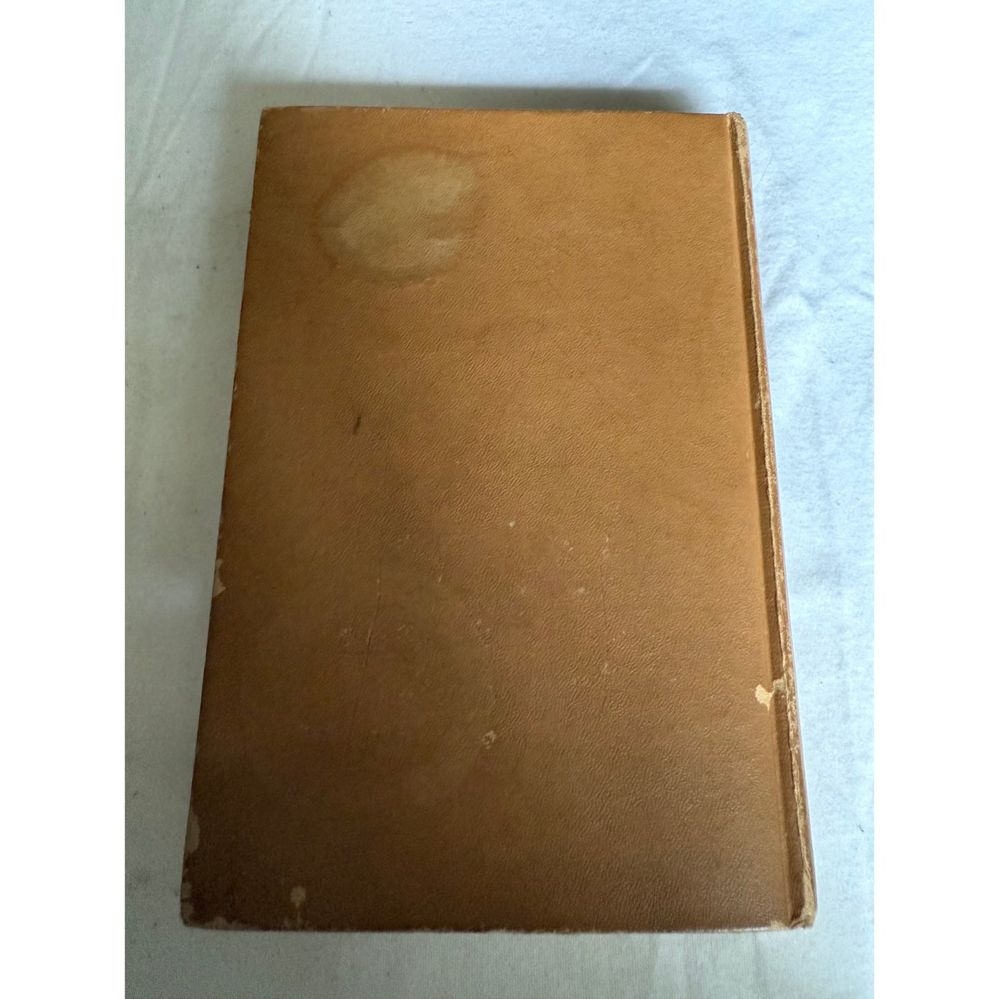 The Hardy Boys - The Secret of the Caves - Franklin W. Dixon - 1929 - Hardcover
