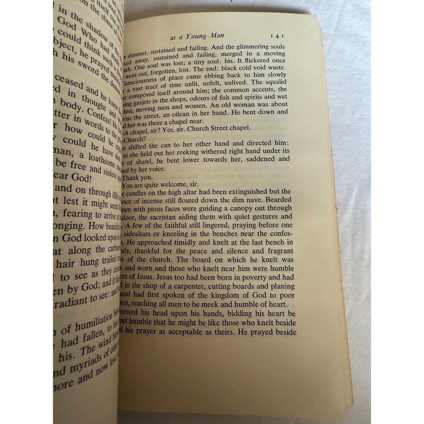 A Portrait of The Artist as a Young Man - James Joyce - 1964- Paperback