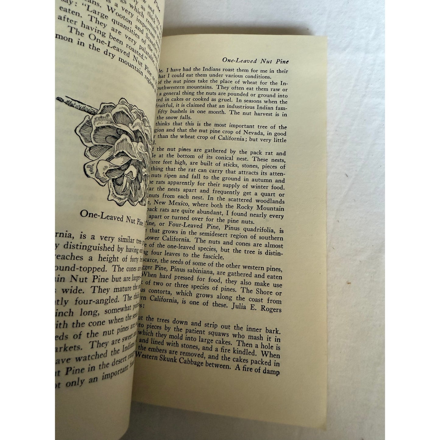 Edible Wild Plants - Oliver Perry Medsger - 7th Printing - 1978 - Paperback
