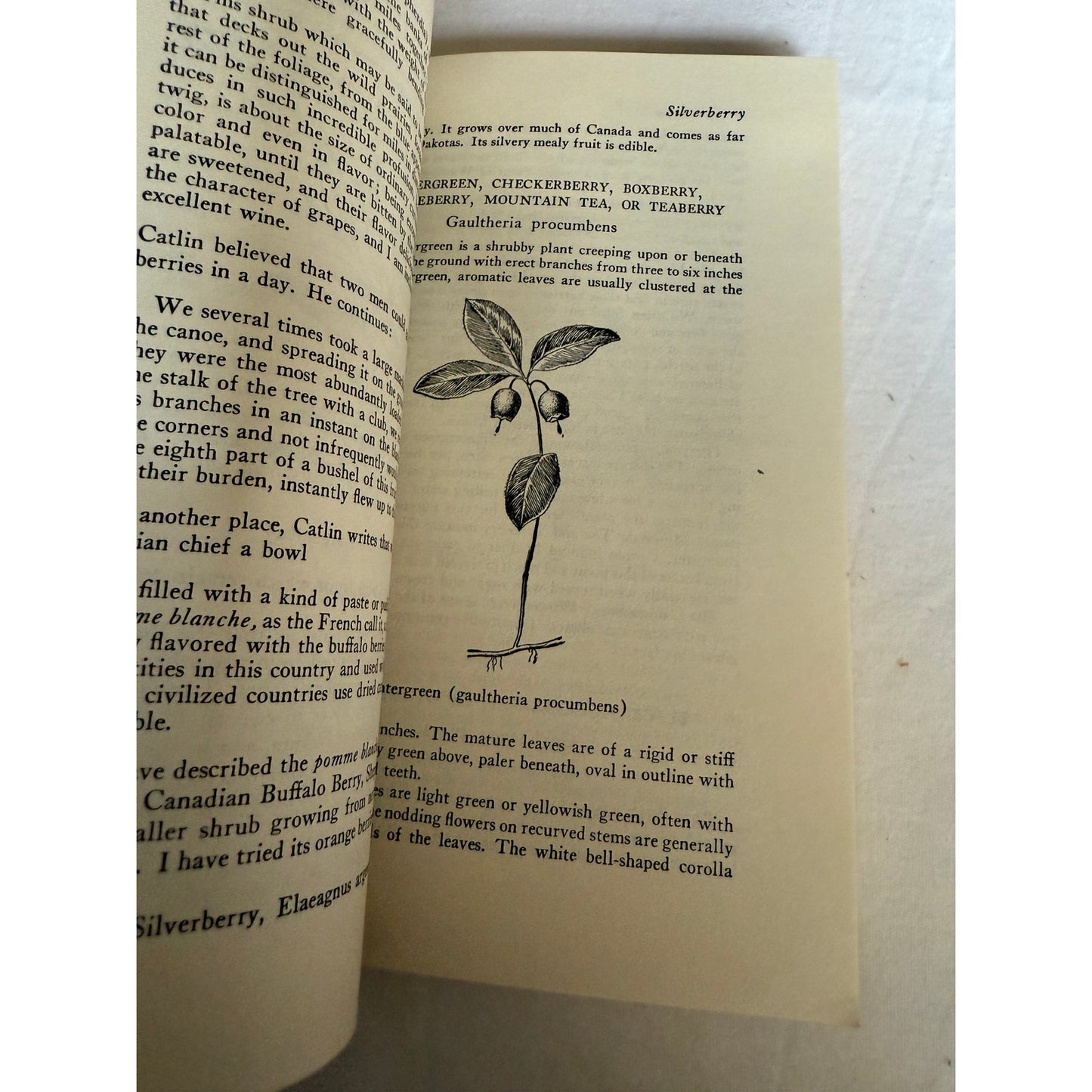 Edible Wild Plants - Oliver Perry Medsger - 7th Printing - 1978 - Paperback