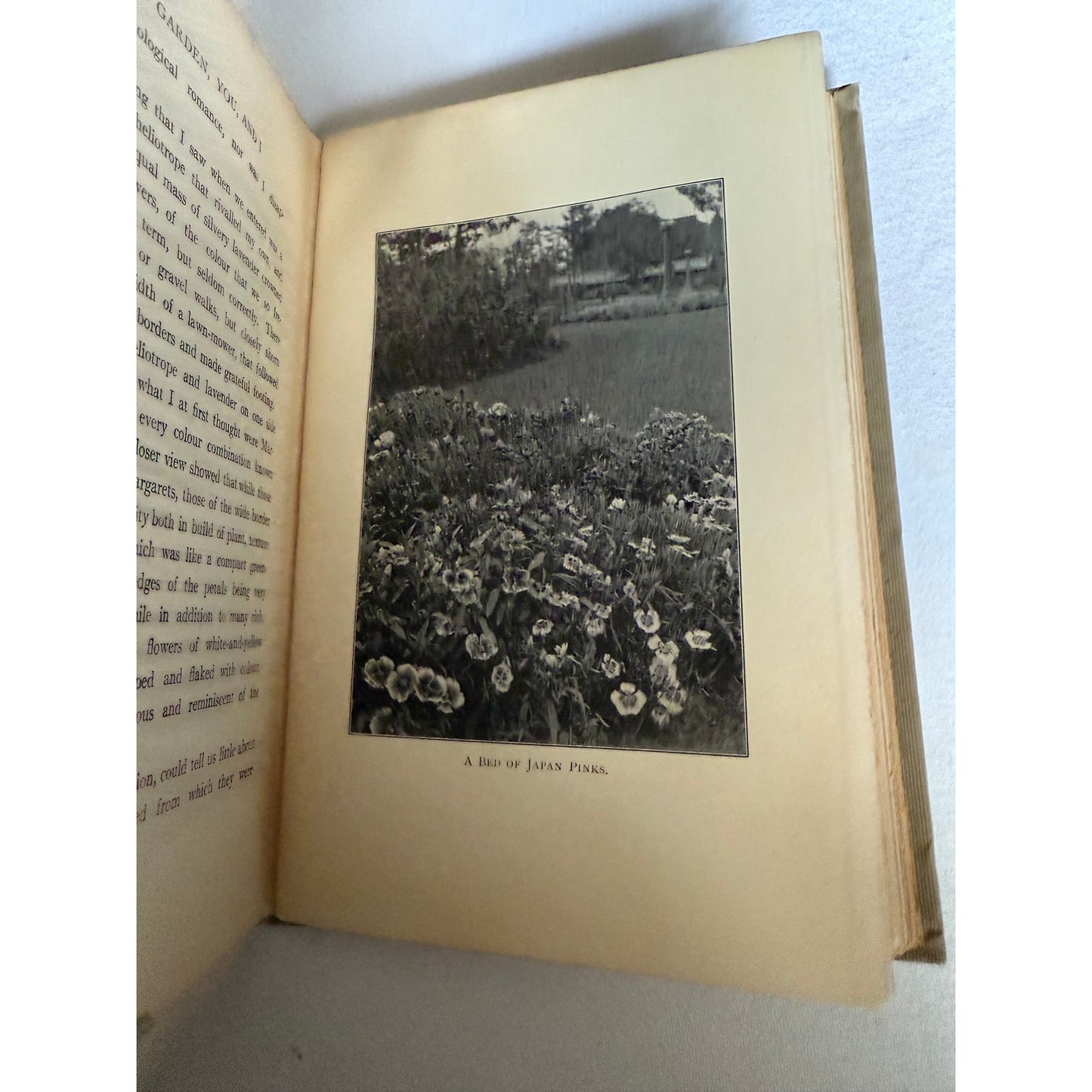 1906 The Garden You and I - Mabel Osgood Wright - Hardcover