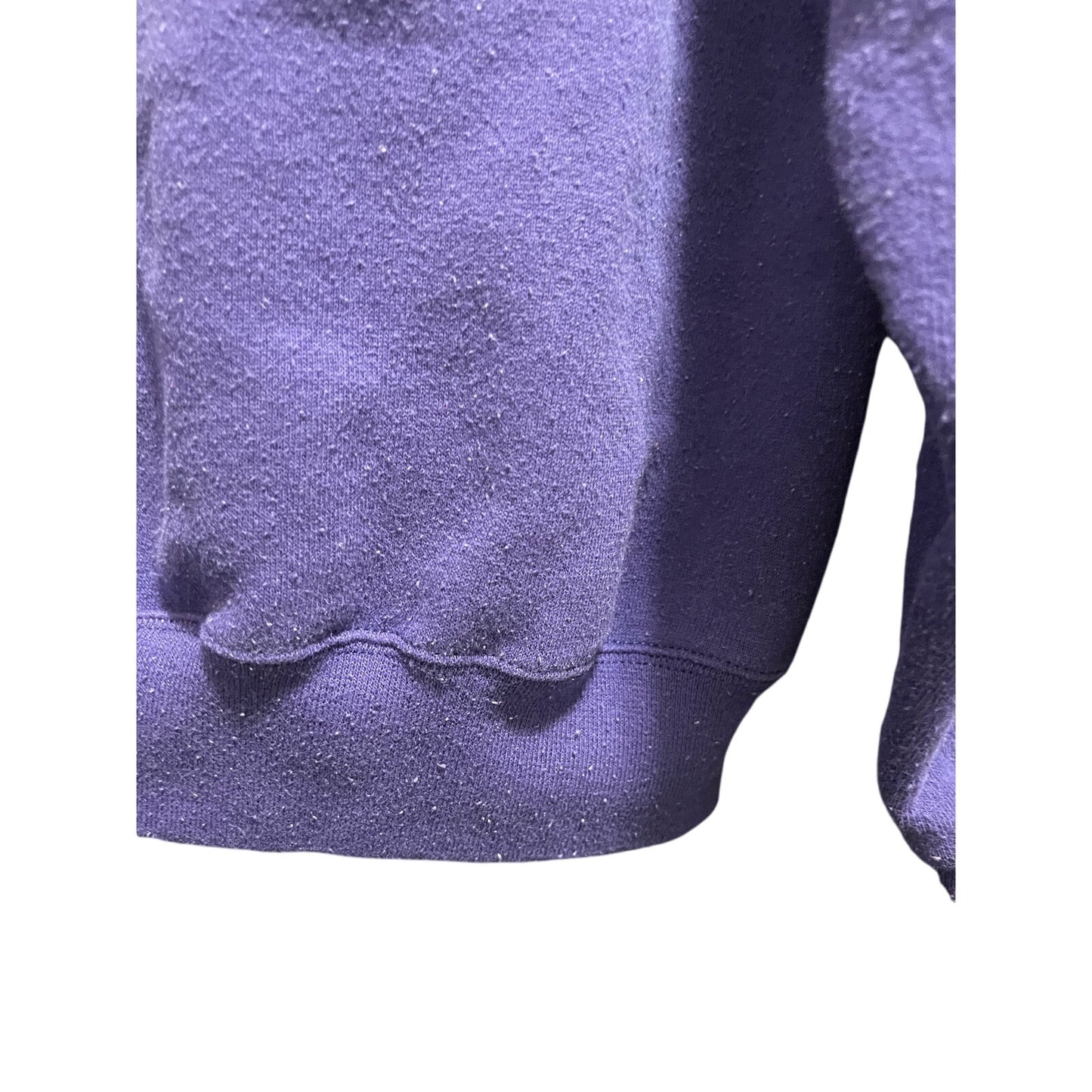 Vintage 90's Looney Tunes Tweety Bird Purple w/Flowers Sweatshirt - Large