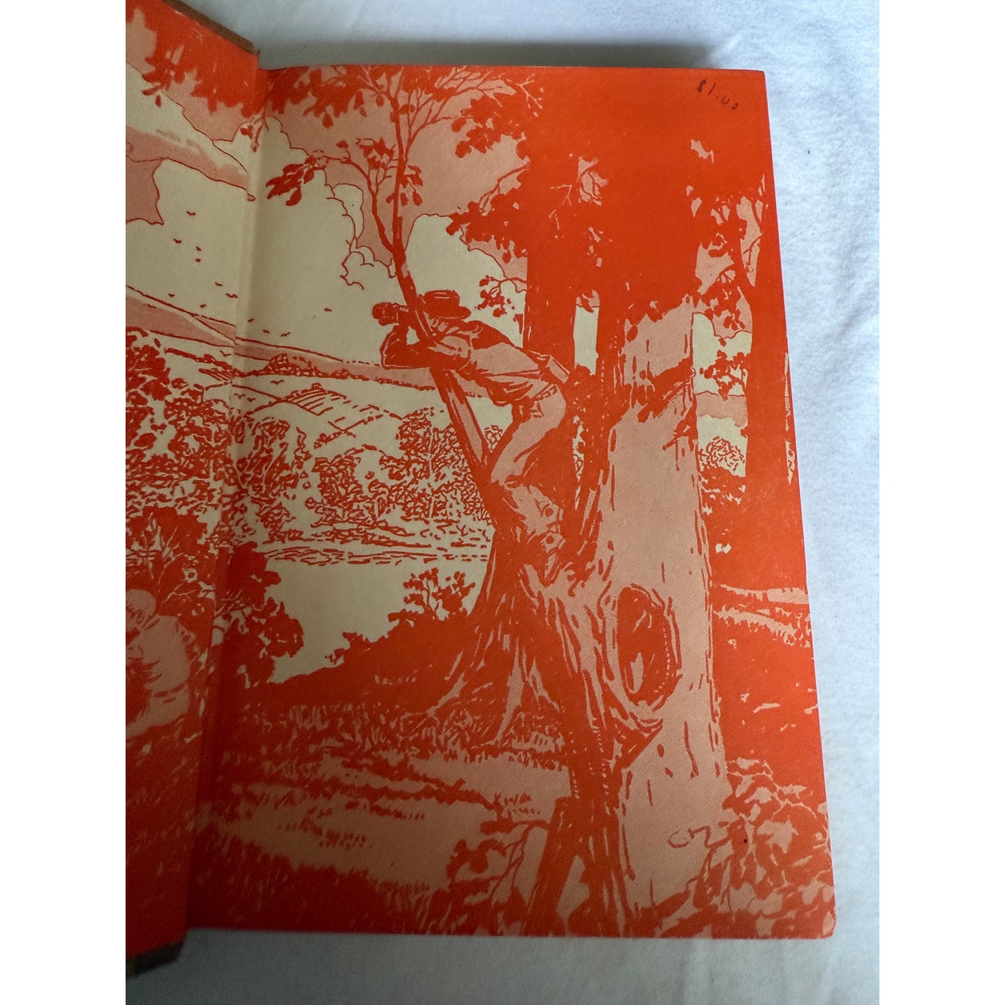 The Hardy Boys - The Secret of the Caves - Franklin W. Dixon - 1929 - Hardcover