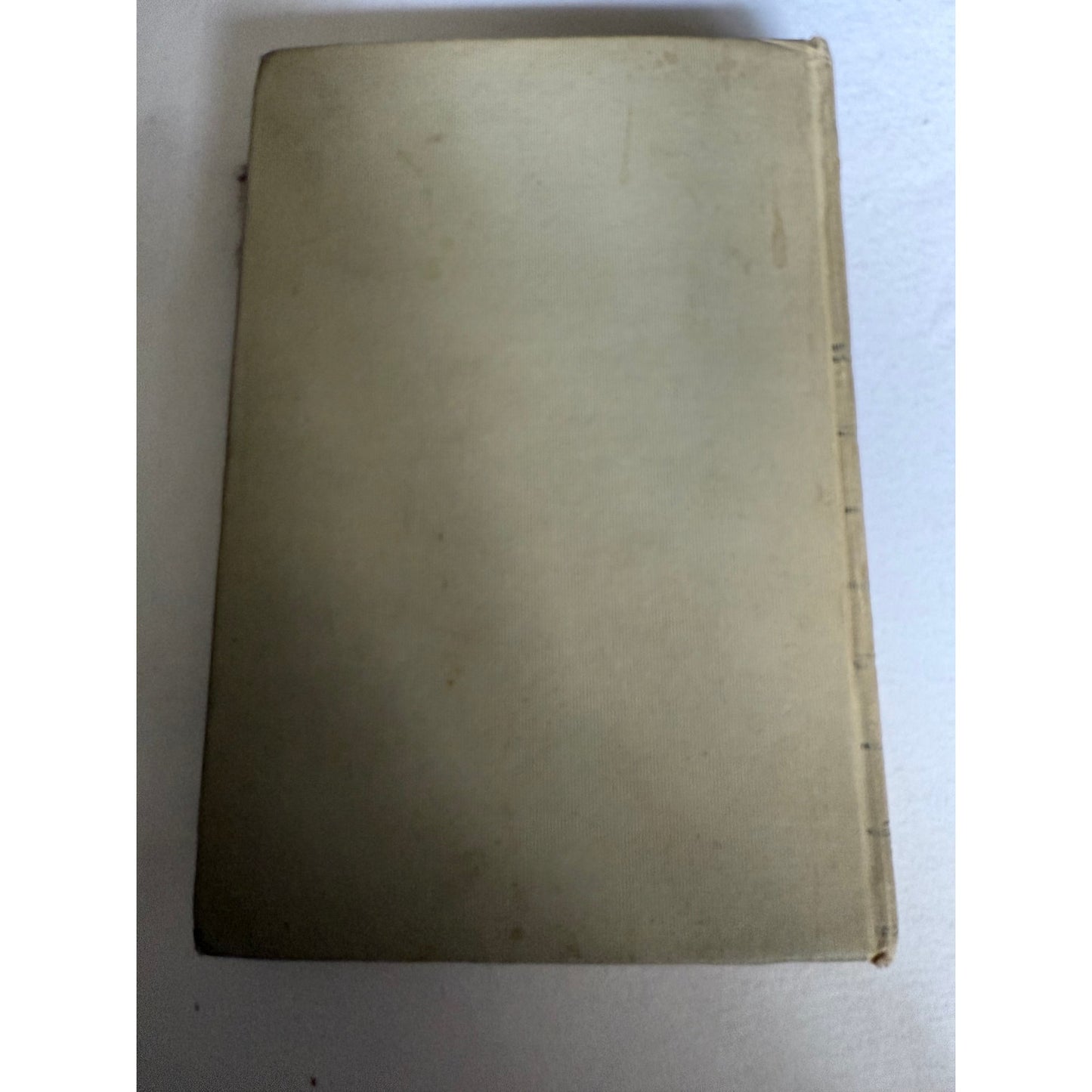 1906 The Garden You and I - Mabel Osgood Wright - Hardcover