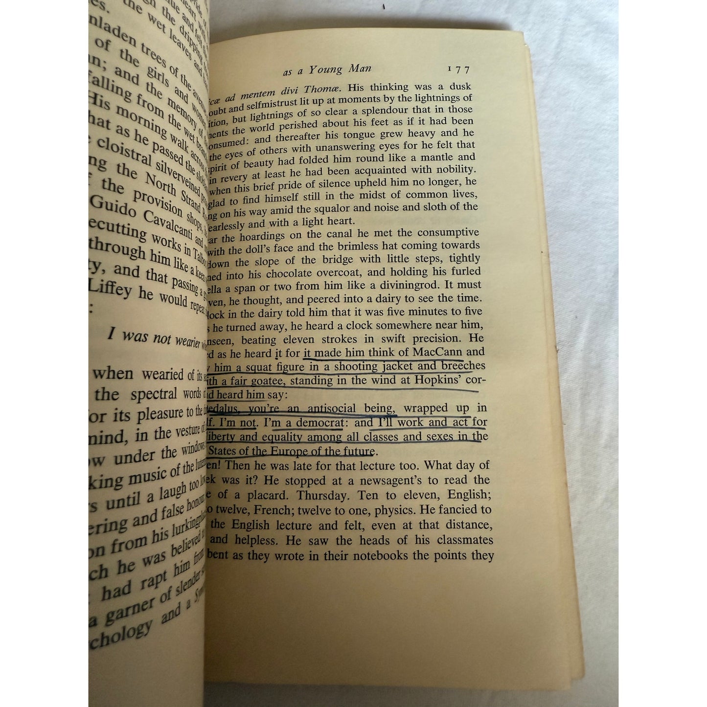 A Portrait of The Artist as a Young Man - James Joyce - 1964- Paperback