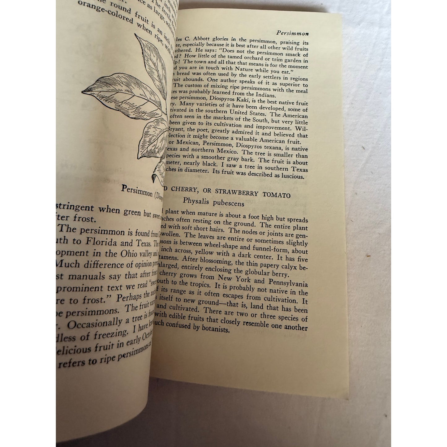 Edible Wild Plants - Oliver Perry Medsger - 7th Printing - 1978 - Paperback