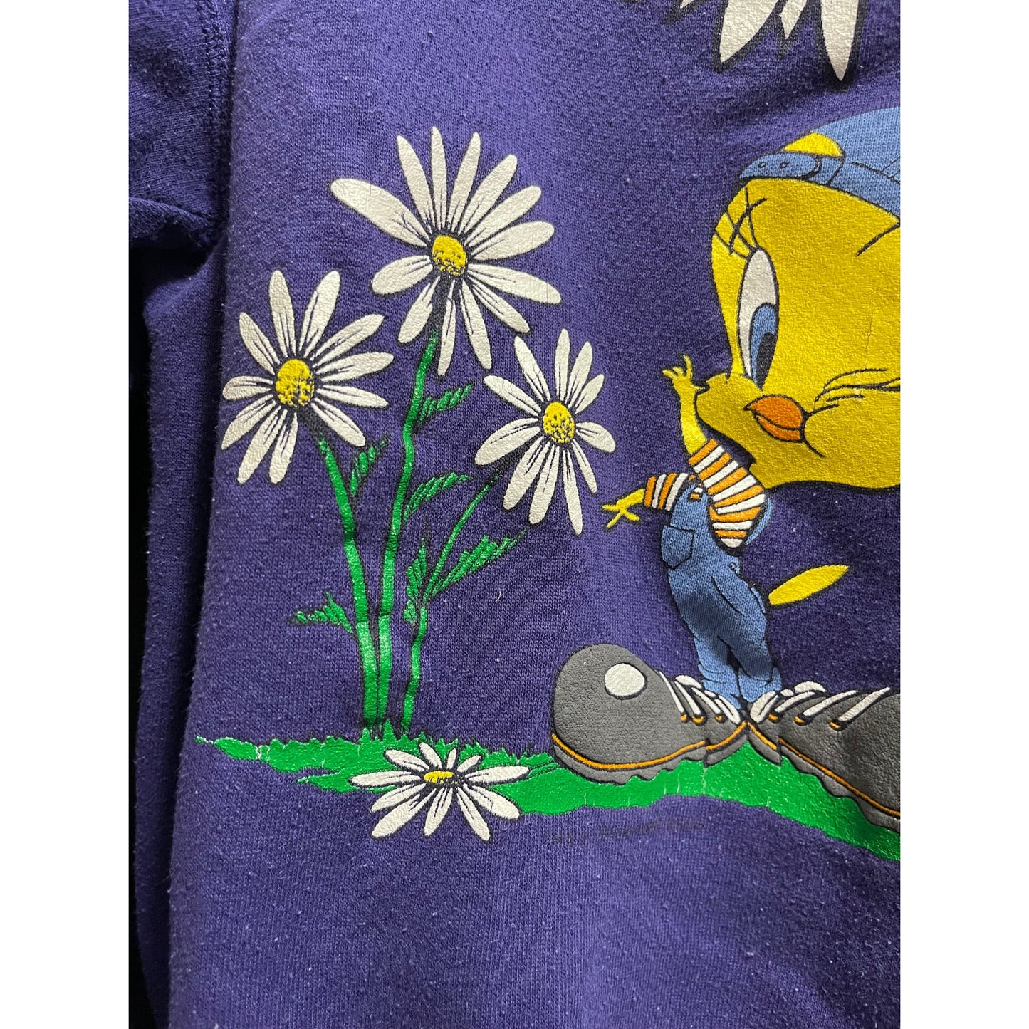Vintage 90's Looney Tunes Tweety Bird Purple w/Flowers Sweatshirt - Large