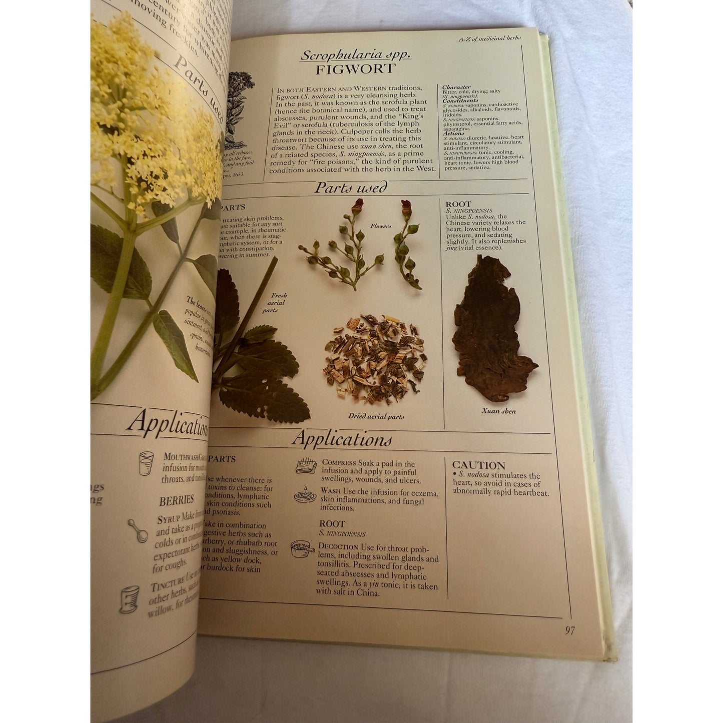 The Complete Medicinal Herbal - Penelope Ody 1st American Edition 1993 Hardcover