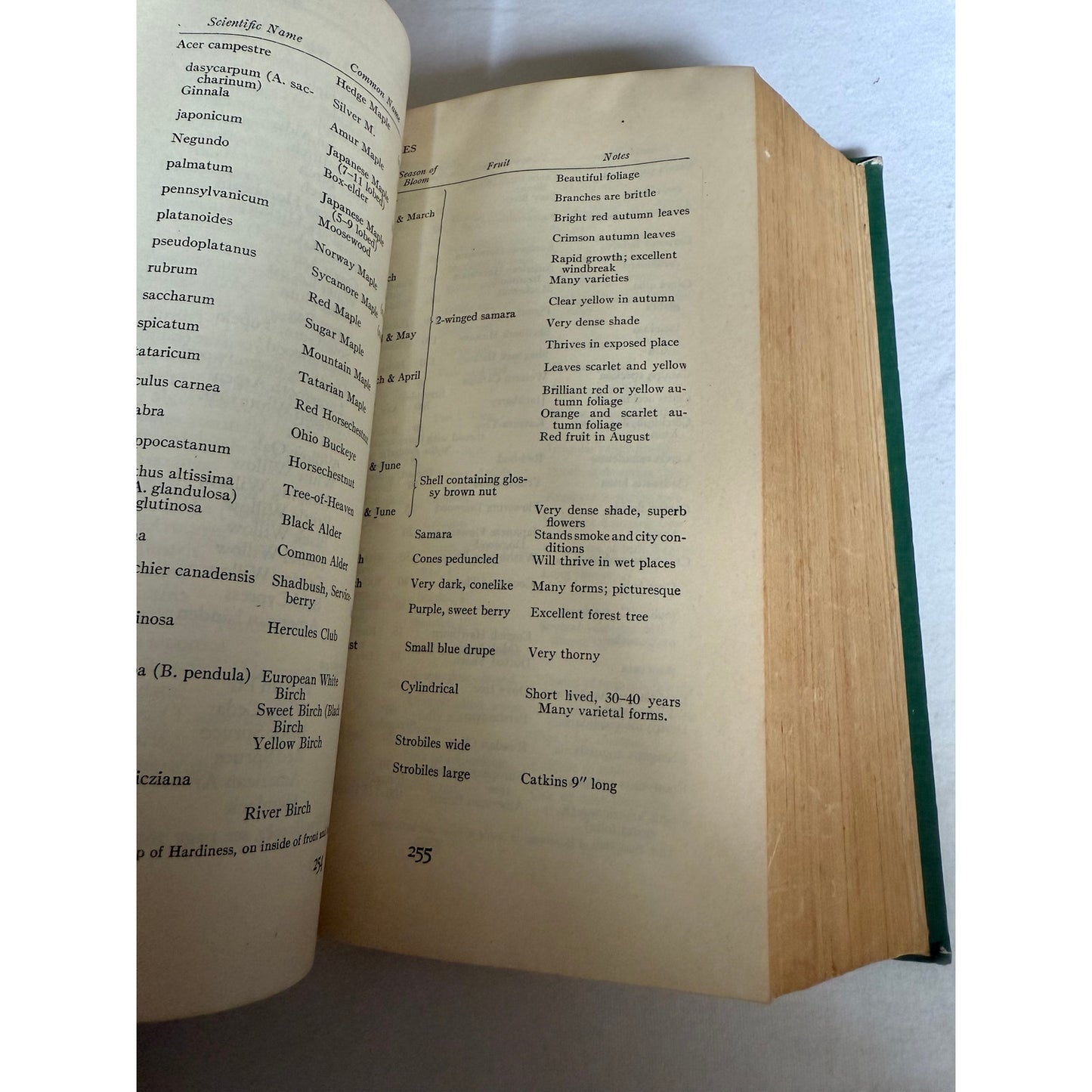 America's Garden Book (1949, Scribner) Louise Bush-Brown Hardcover