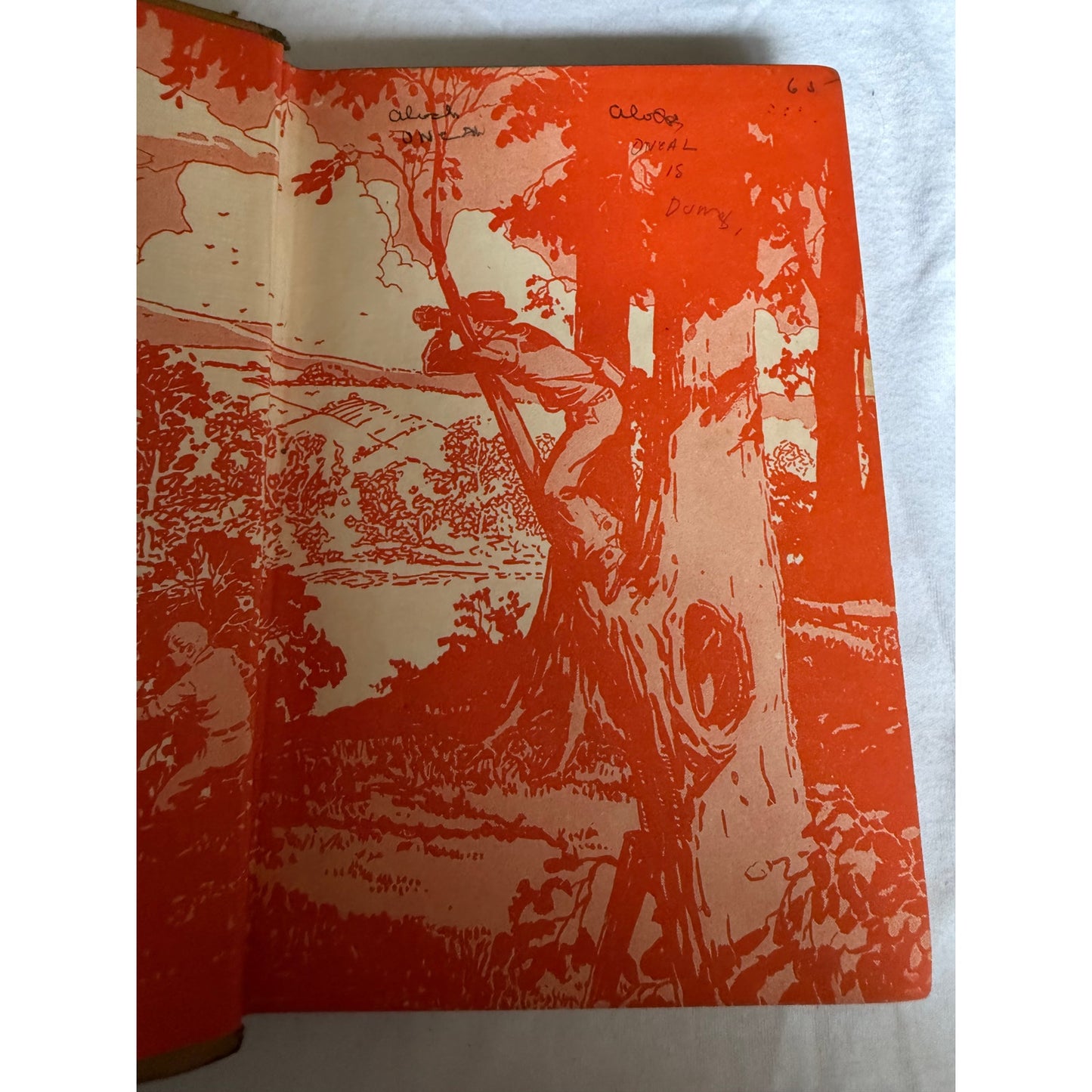 The Hardy Boys - Hunting for Hidden Gold - Franklin W. Dixon 1928 Tan Hardcover