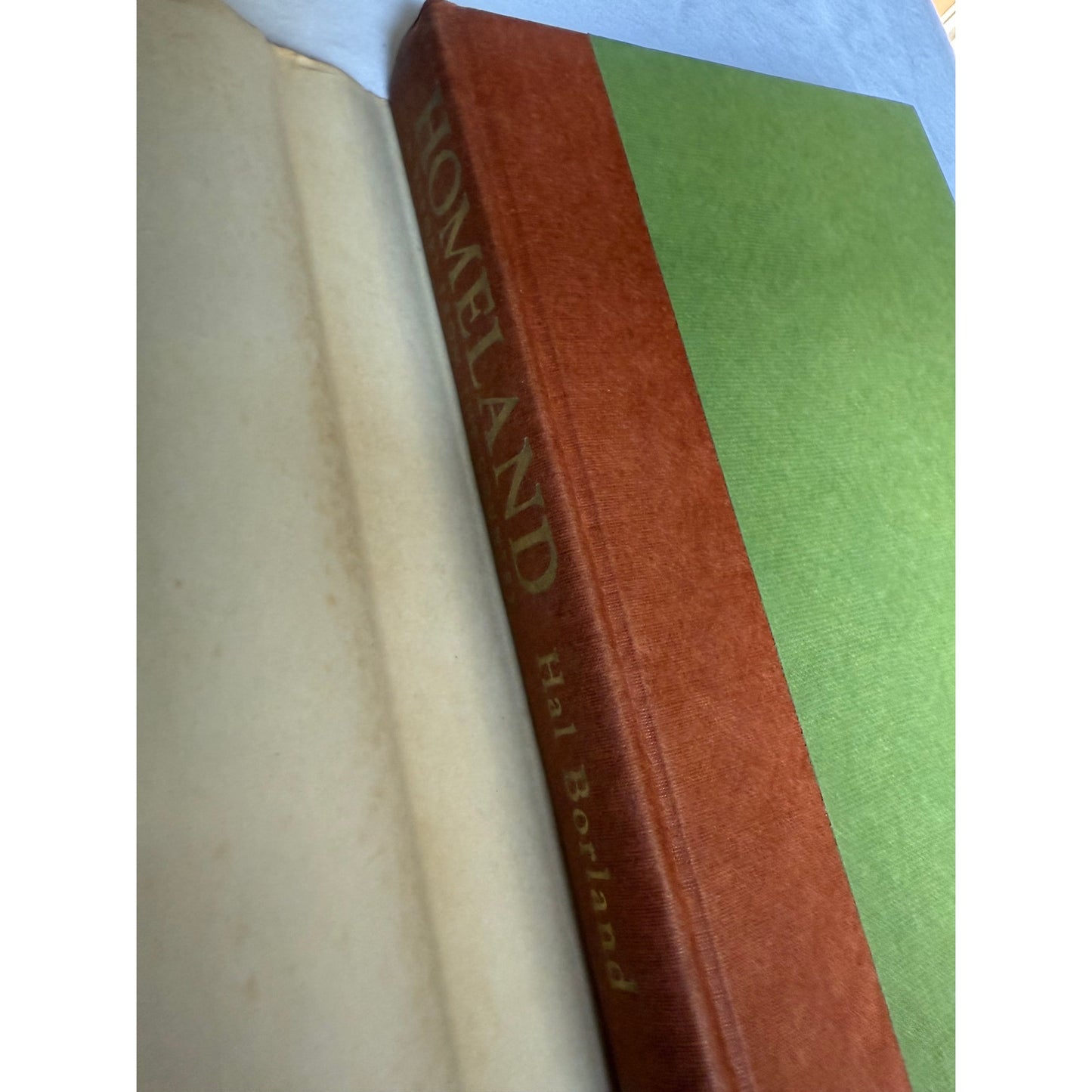 Homeland, A Report from the Country - Hal Borland - 2nd Printing 1969 Hardcover