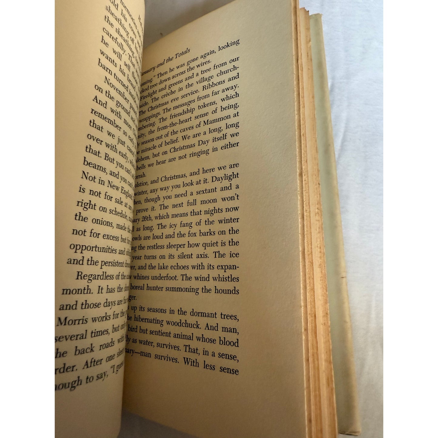 Homeland, A Report from the Country - Hal Borland - 2nd Printing 1969 Hardcover
