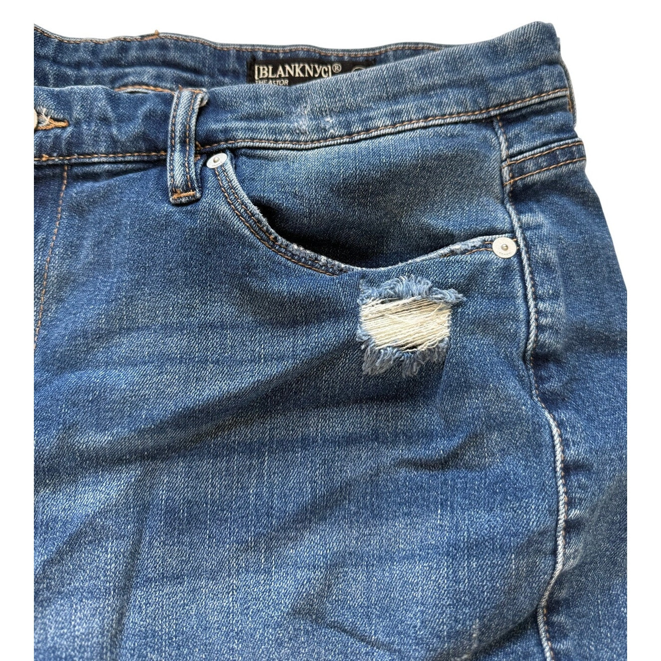 BlankNYC The Astor Size 31 Cut Off Denim Jean Shorts