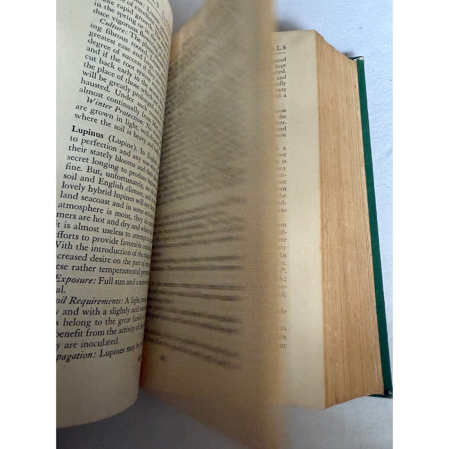 America's Garden Book (1949, Scribner) Louise Bush-Brown Hardcover