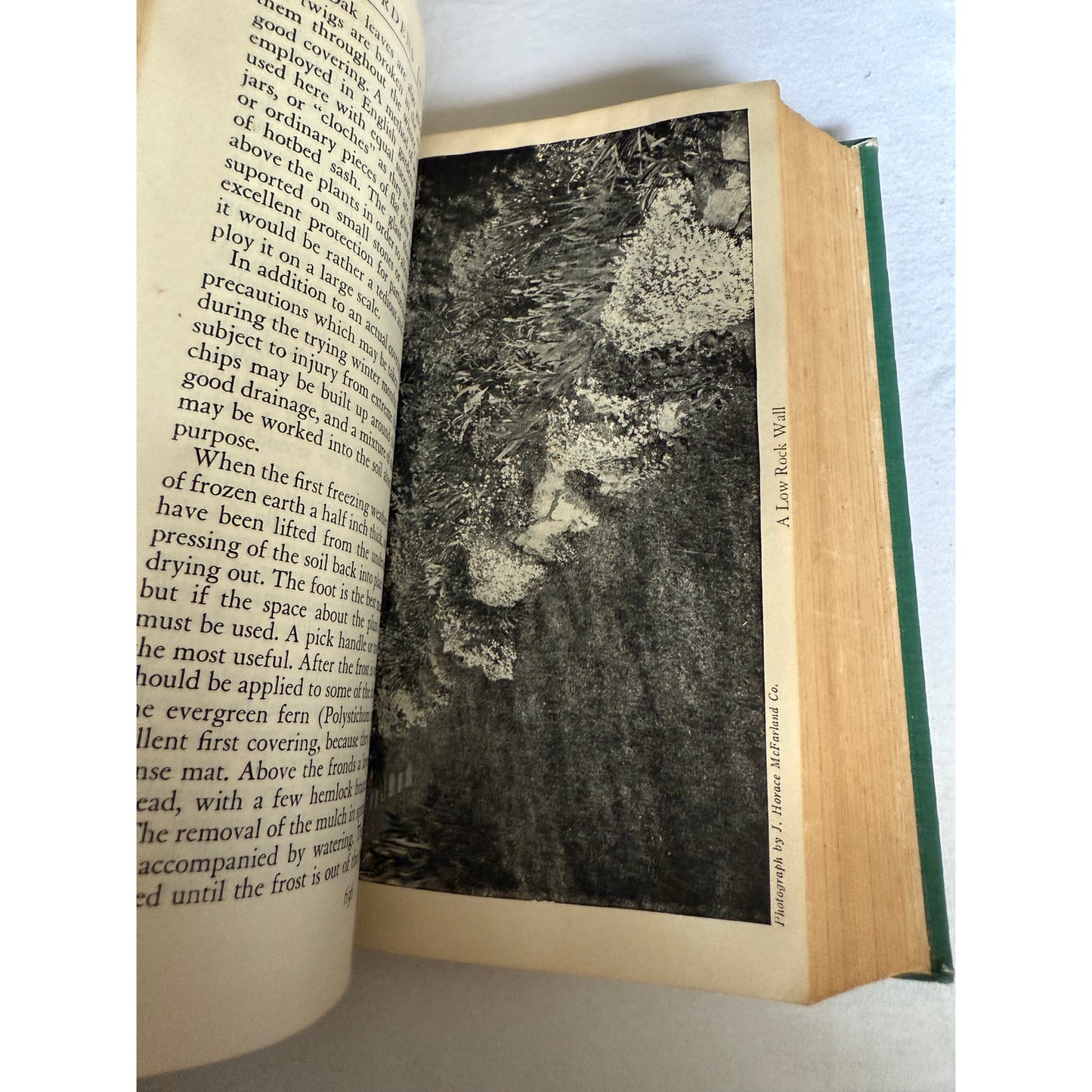 America's Garden Book (1949, Scribner) Louise Bush-Brown Hardcover