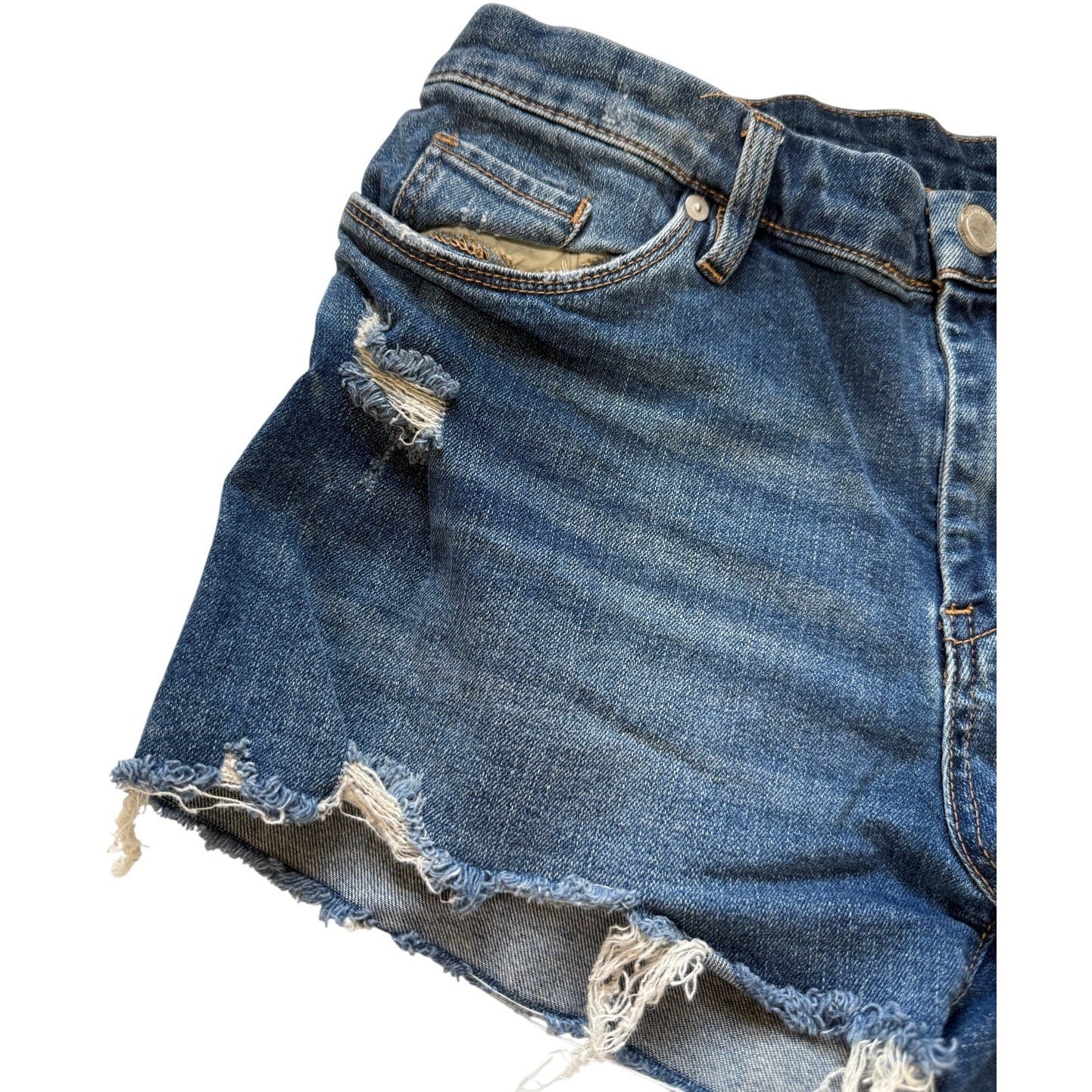 BlankNYC The Astor Size 31 Cut Off Denim Jean Shorts