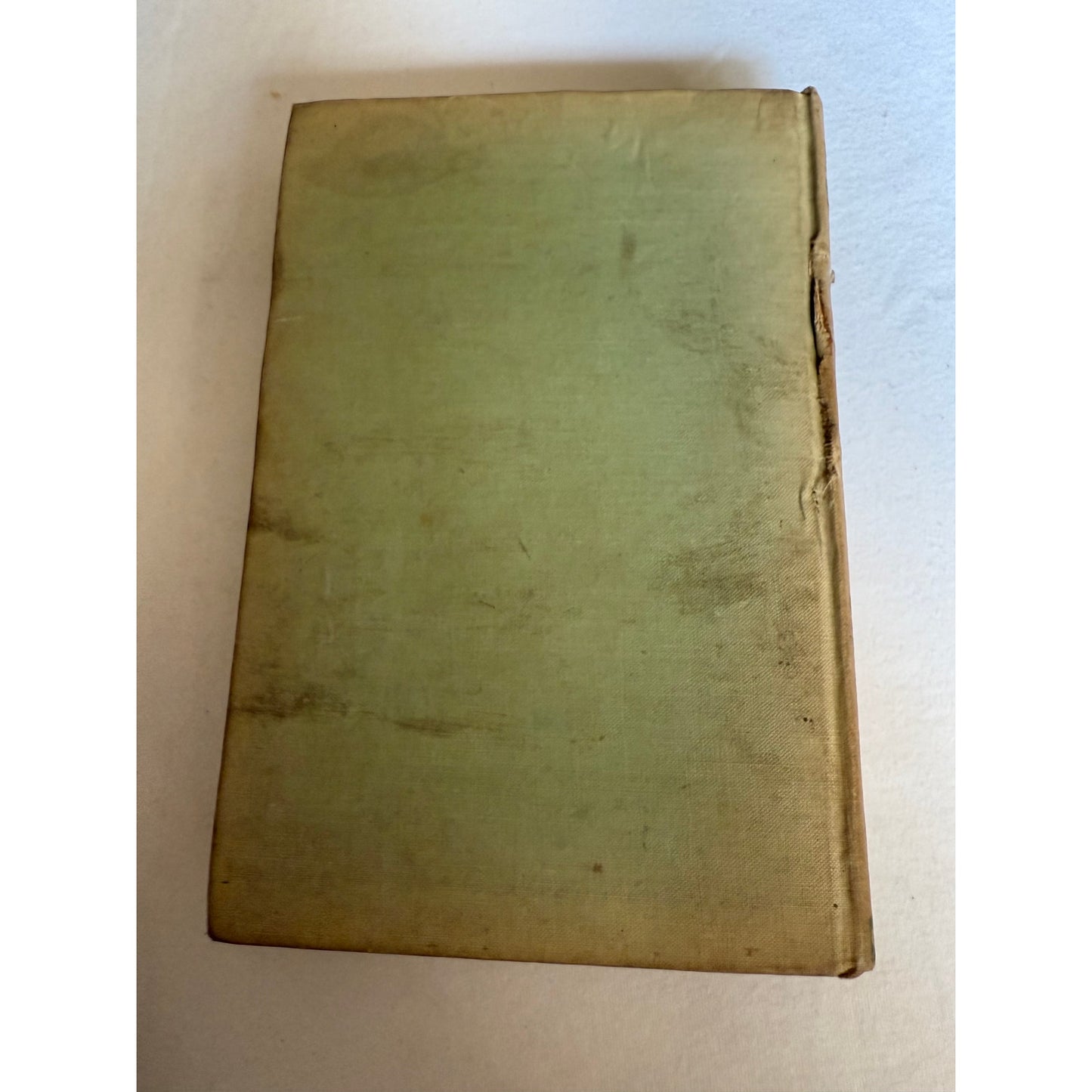 1896 Elsie Dinsmore by Martha Finley - Print Run of 100,000 - Special Edition