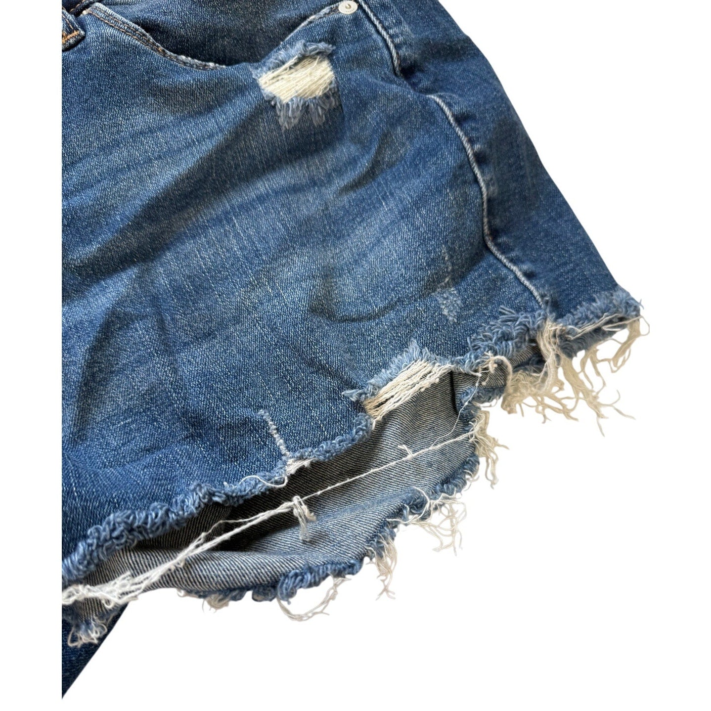 BlankNYC The Astor Size 31 Cut Off Denim Jean Shorts