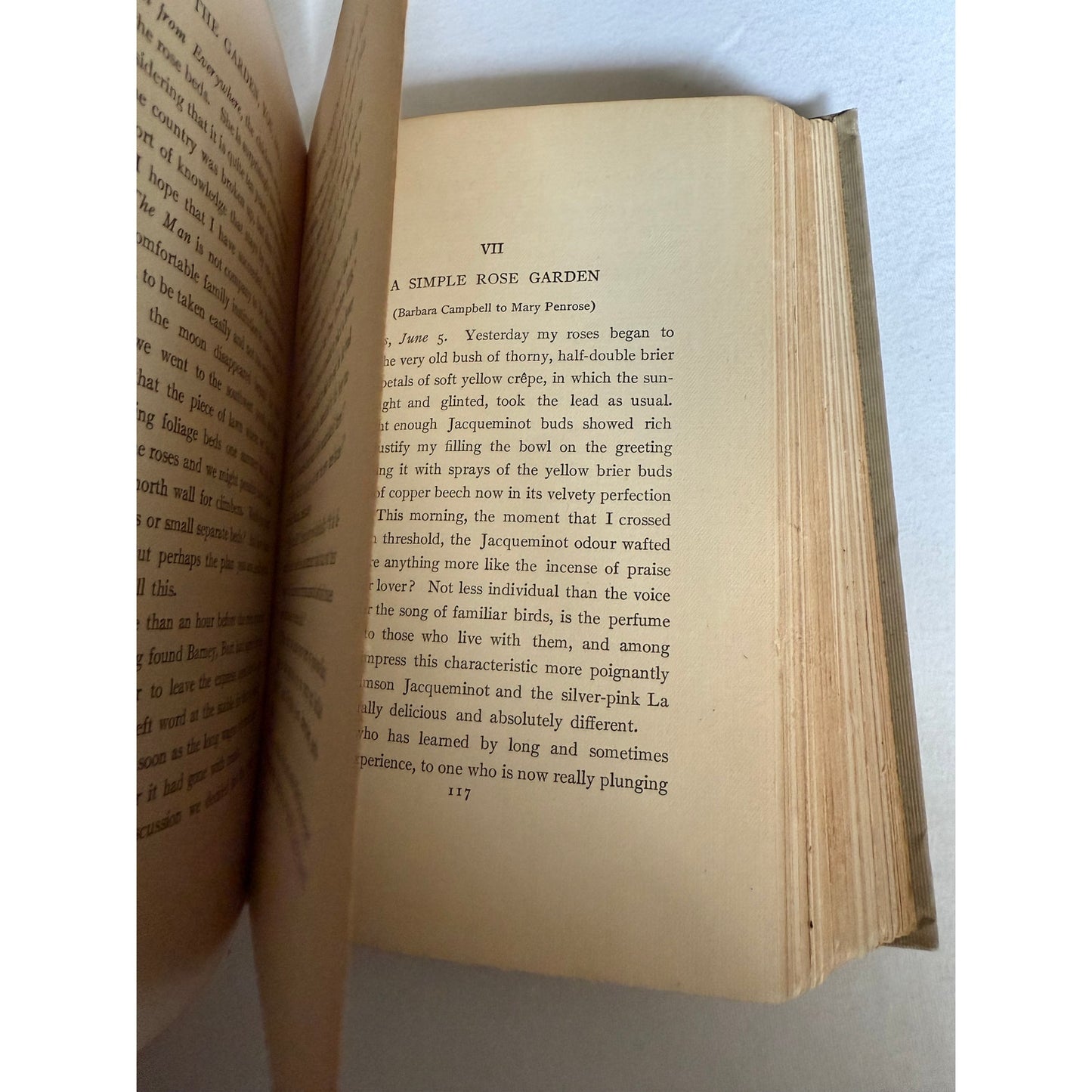 1906 The Garden You and I - Mabel Osgood Wright - Hardcover
